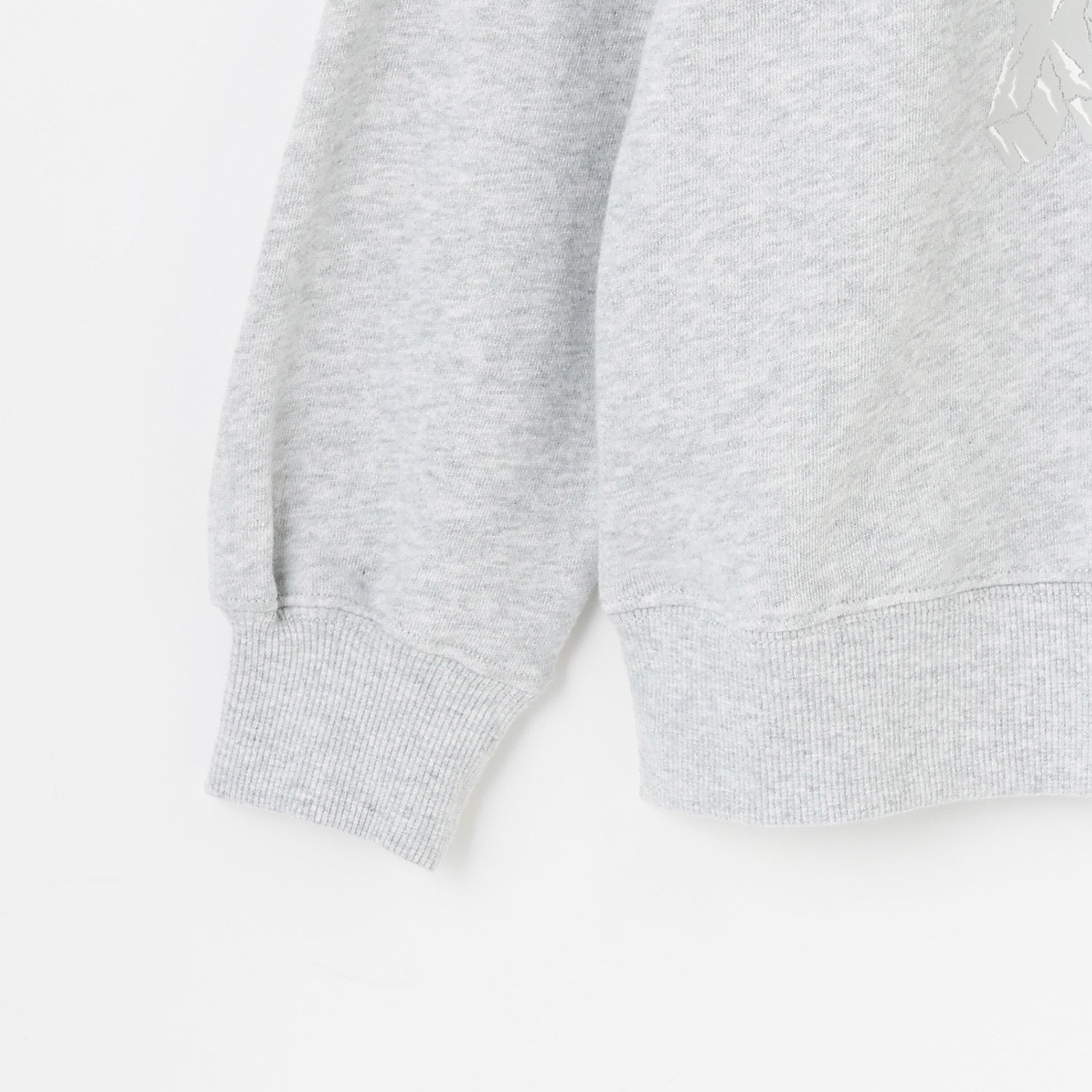 スノーボードT-REXトレーナー