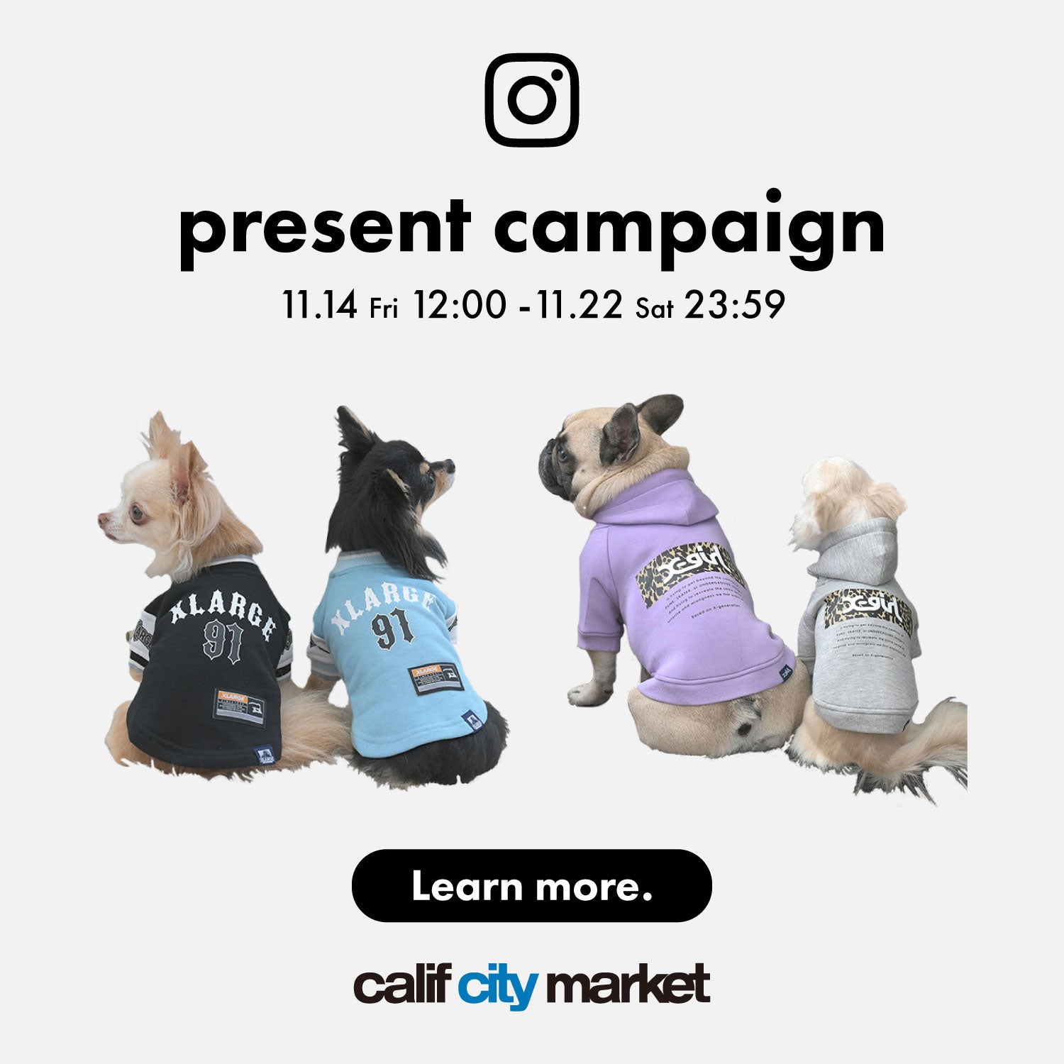 DOGWEAR　PRESENT CAMPAIGN