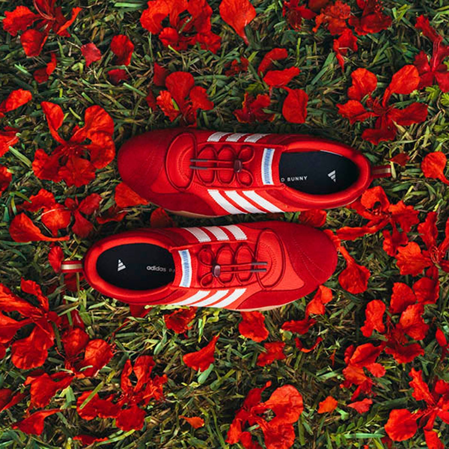 【5.30.(SAT)12:00~launch】adidas W BAD BUNNY BALLERINA KI7916