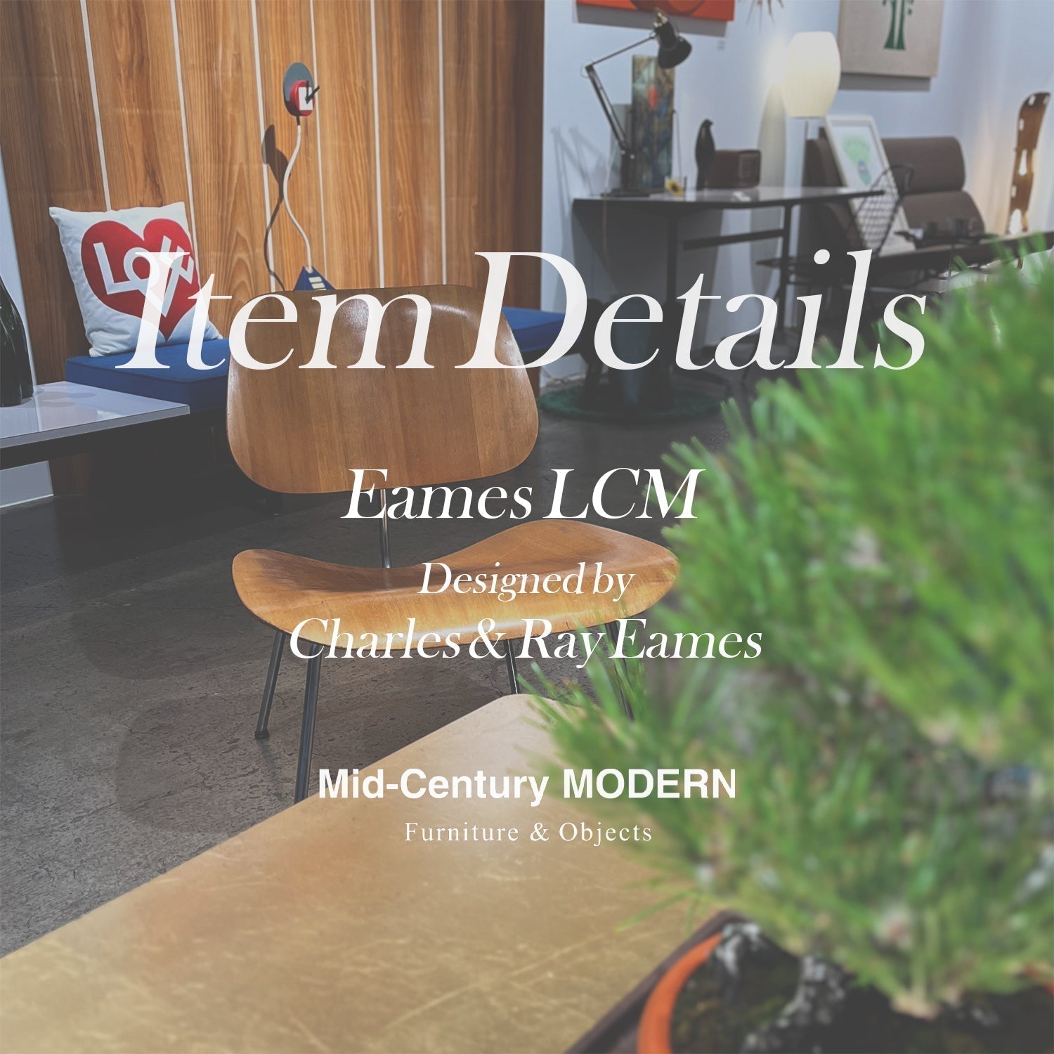 Item Detailes LCM