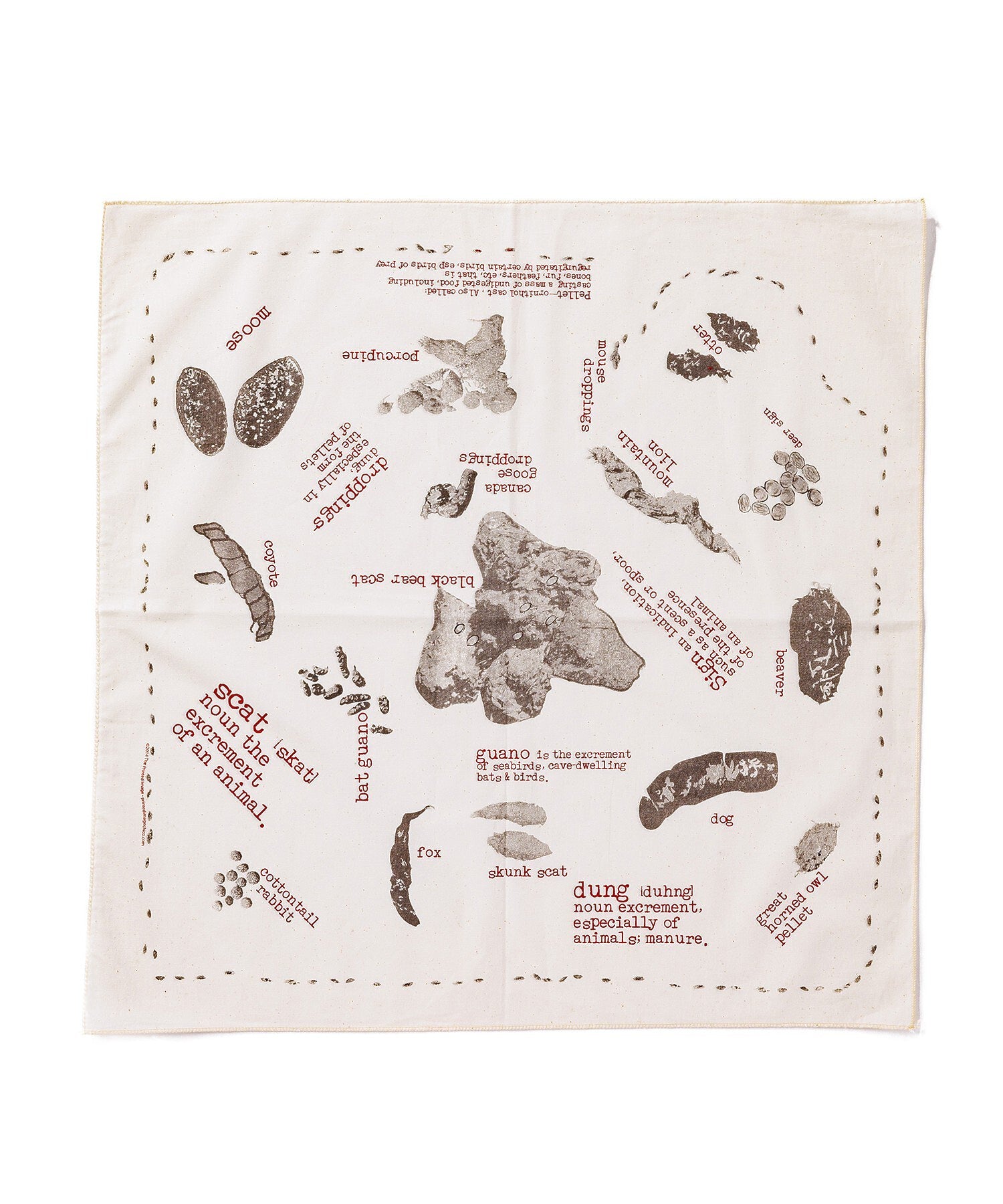 【The Printed Image】ﾈｲﾁｬｰﾌﾟﾘﾝﾄ ｽｶｯﾄ