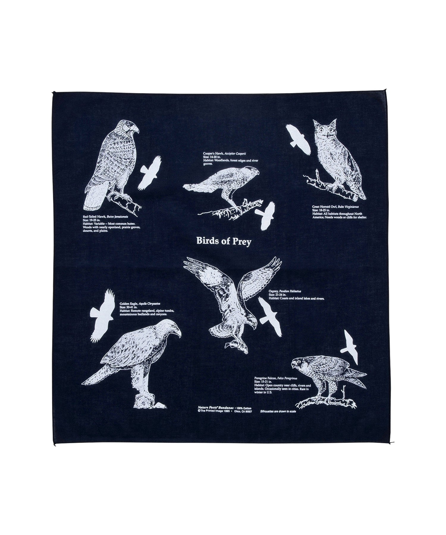 【The Printed Image】ﾈｲﾁｬｰﾌﾟﾘﾝﾄﾊﾞﾝﾀﾞﾅ ﾊﾞｰﾄﾞ