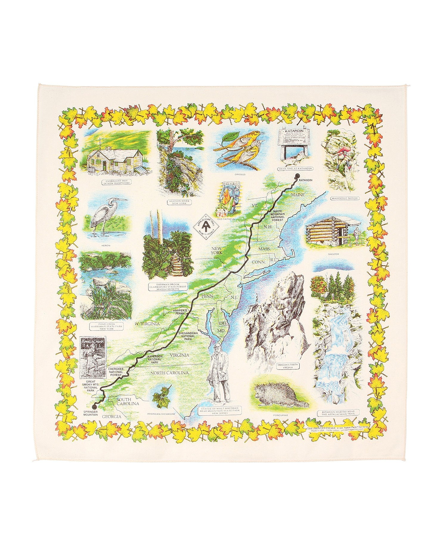 【The Printed Image】ﾈｲﾁｬｰﾌﾟﾘﾝﾄ ｱﾊﾟﾗﾁｱﾝﾄﾚｲﾙ