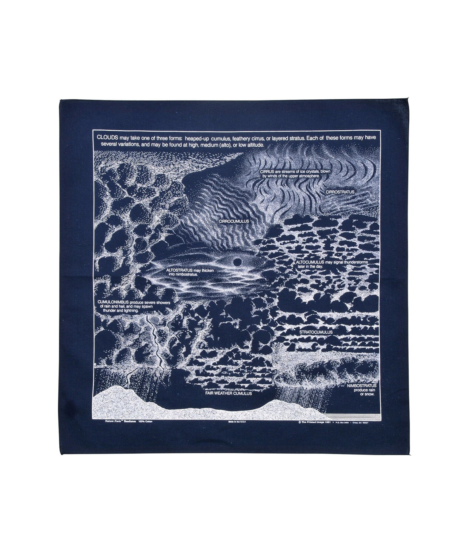 【The Printed Image】ﾈｲﾁｬｰﾌﾟﾘﾝﾄﾊﾞﾝﾀﾞﾅ雲