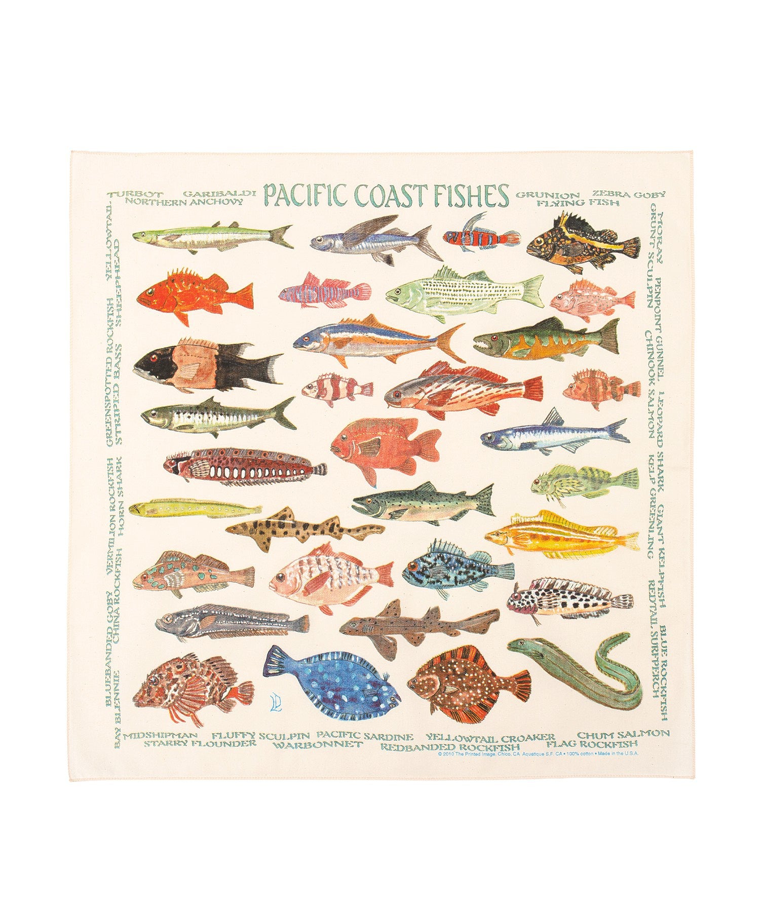 【The Printed Image】ﾈｲﾁｬｰﾌﾟﾘﾝﾄ ﾊﾟｼﾌｨｯｸｺｰｽﾄﾌｨｯｼｭ