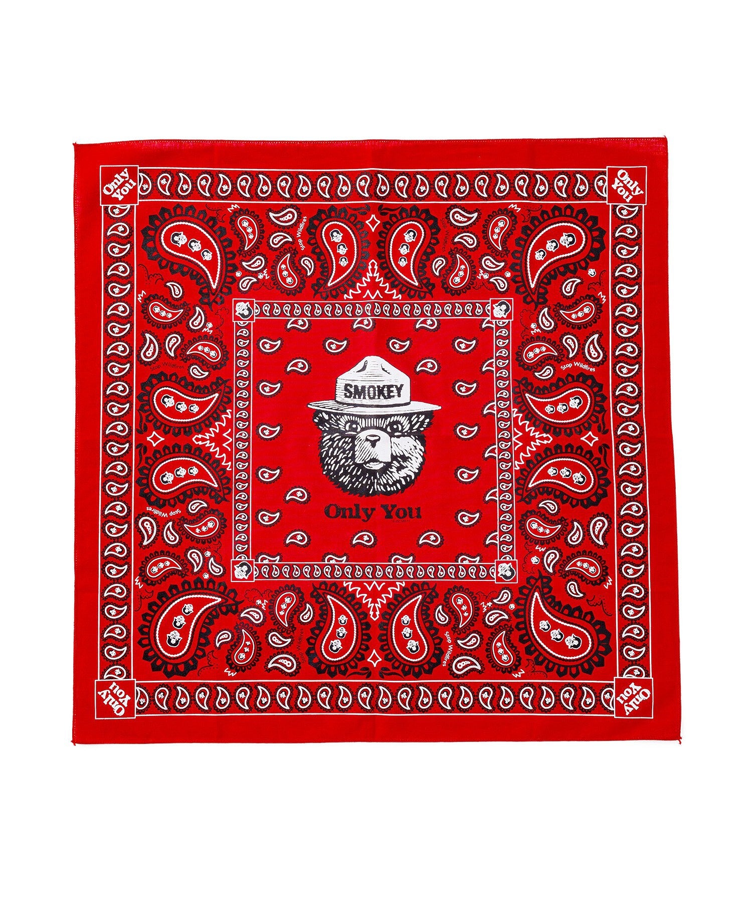 【The Printed Image】ﾈｲﾁｬｰﾌﾟﾘﾝﾄ SMOKEY PAISLEY RED