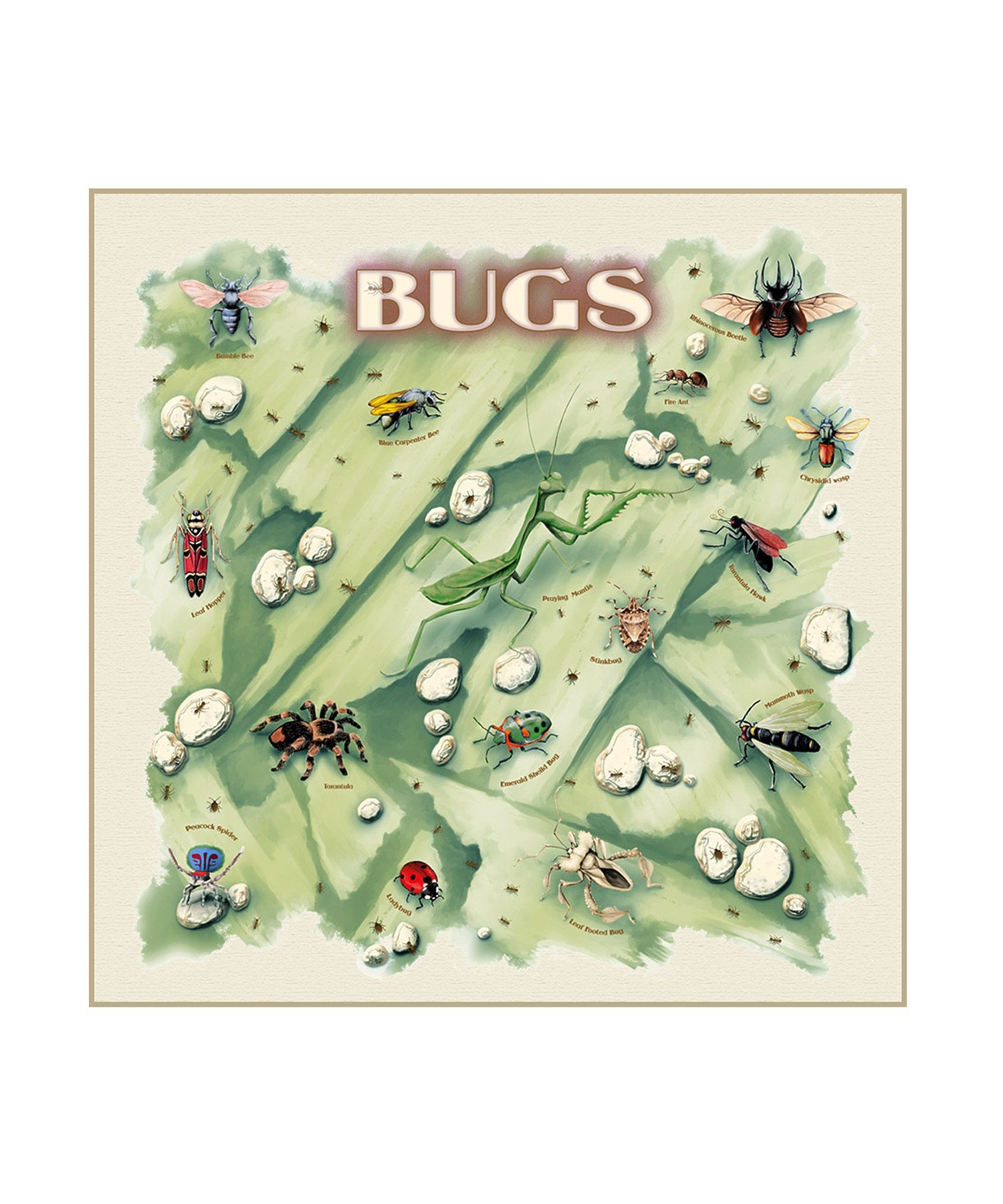 【The Printed Image】ﾈｲﾁｬｰﾌﾟﾘﾝﾄ ﾊﾞｸﾞｽﾞ