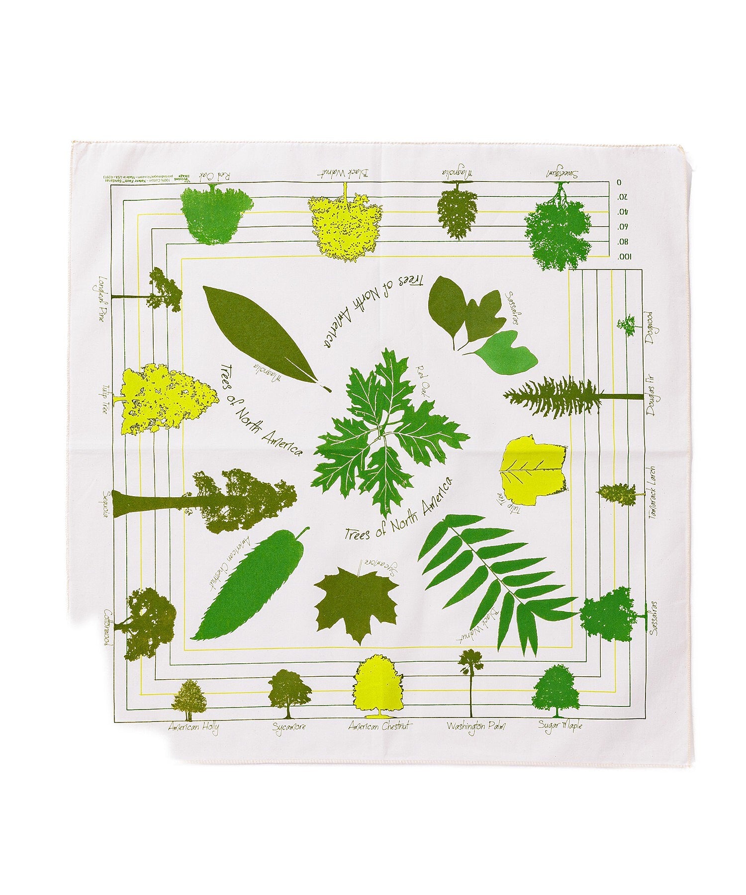 【The Printed Image】ﾈｲﾁｬｰﾌﾟﾘﾝﾄ ﾂﾘｰｽﾞｵﾌﾞﾉｰｽｱﾒﾘｶ