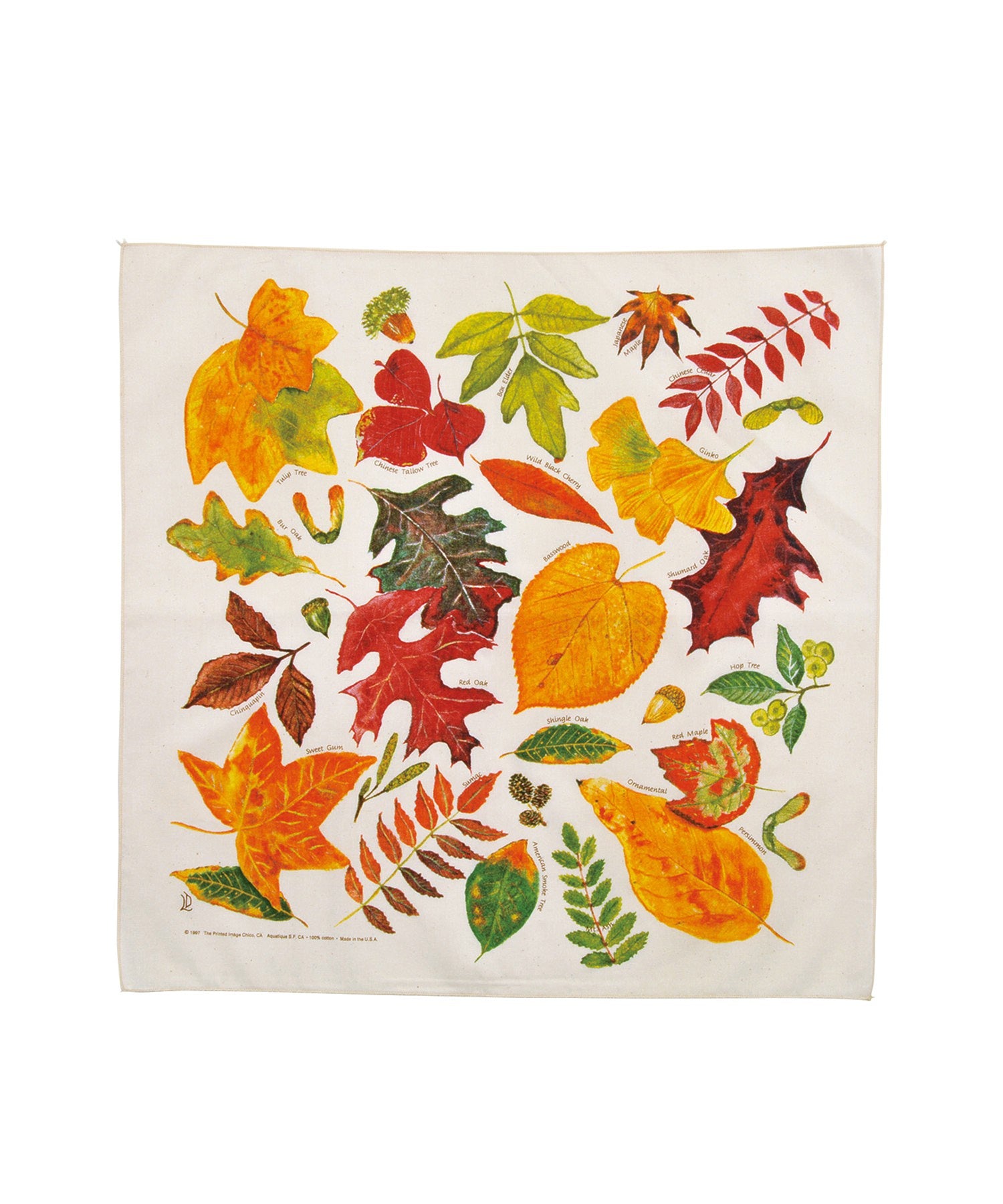 【The Printed Image】ﾈｲﾁｬｰﾌﾟﾘﾝﾄ ﾌｫｰﾙﾘｰﾌﾞｽﾞ