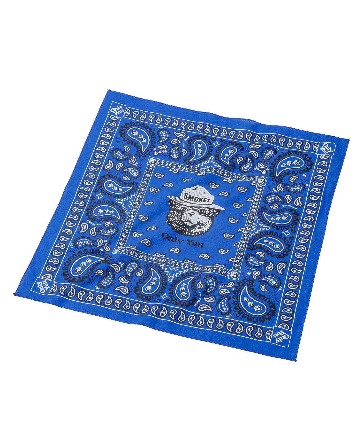 【The Printed Image】ﾈｲﾁｬｰﾌﾟﾘﾝﾄ SMOKEY PAISLEY ROY