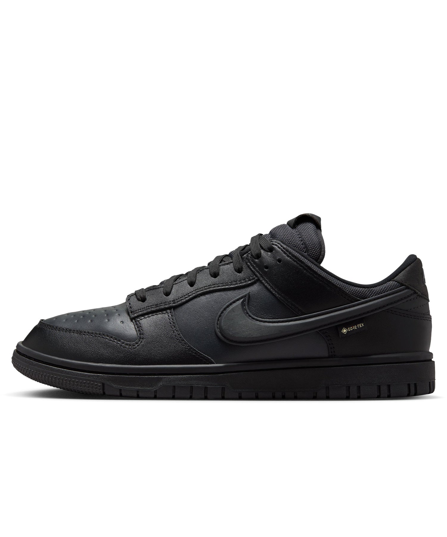 NIKE/ナイキ/DUNK LOW GTX HQ2053-001