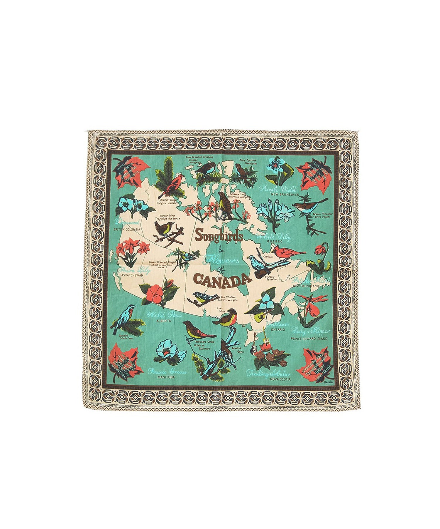 BINDU/COTTON VOILE CANADA BANDANA