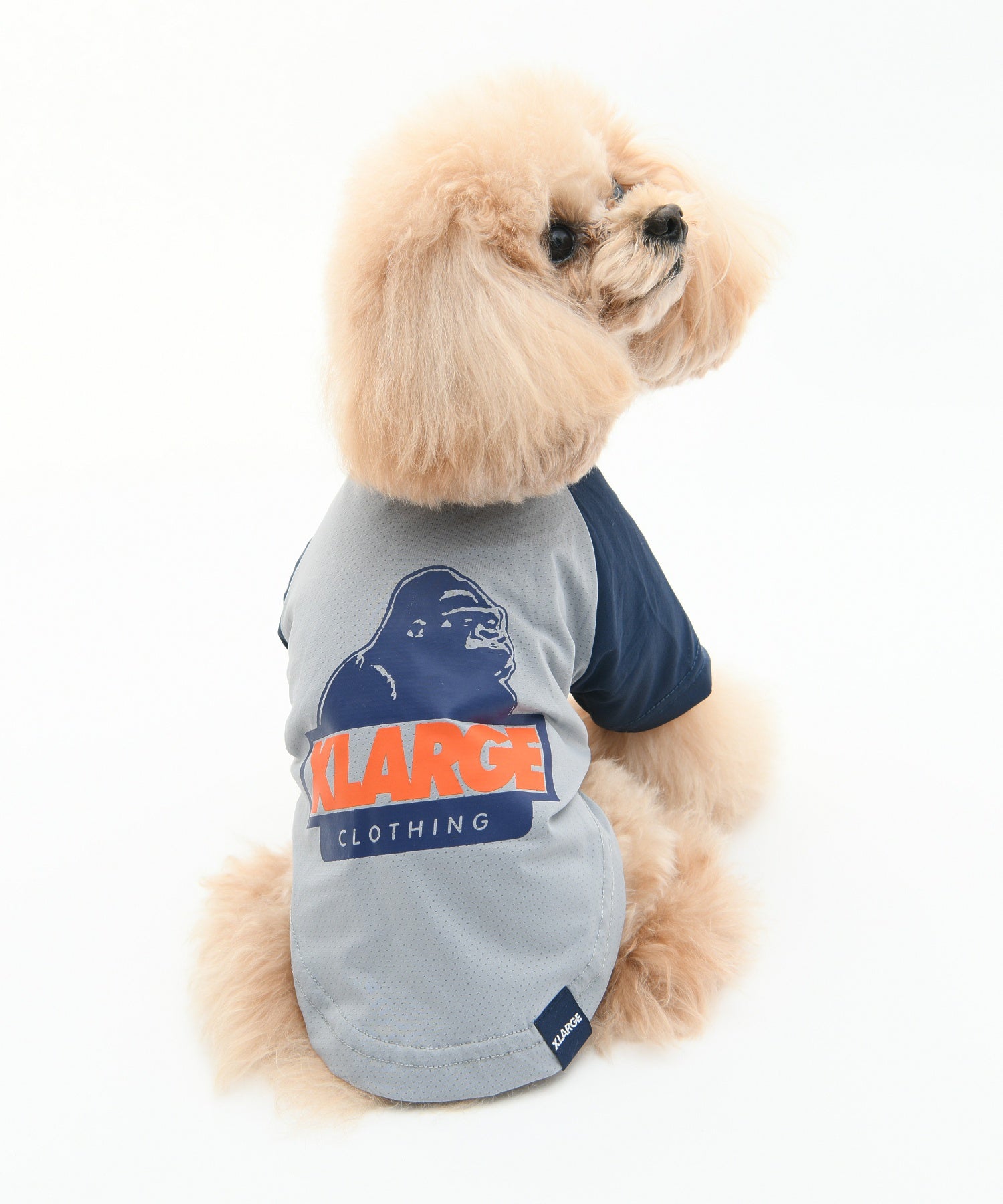 【XLARGE DOGWEAR】OGラグラン風メッシュT