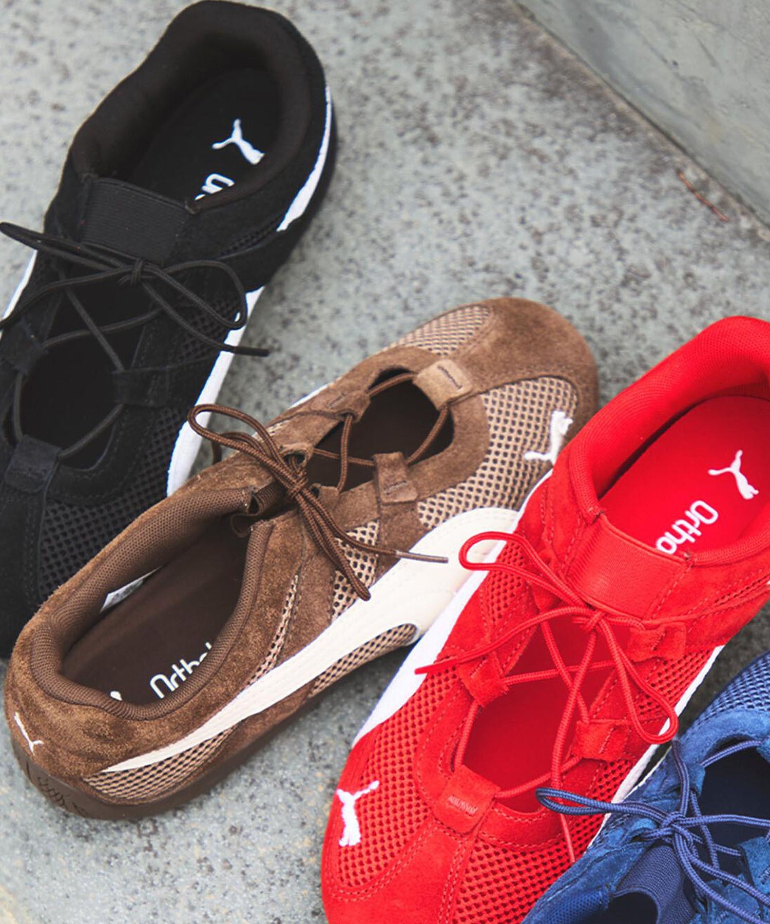 PUMA/SPEEDCAT GO WNS