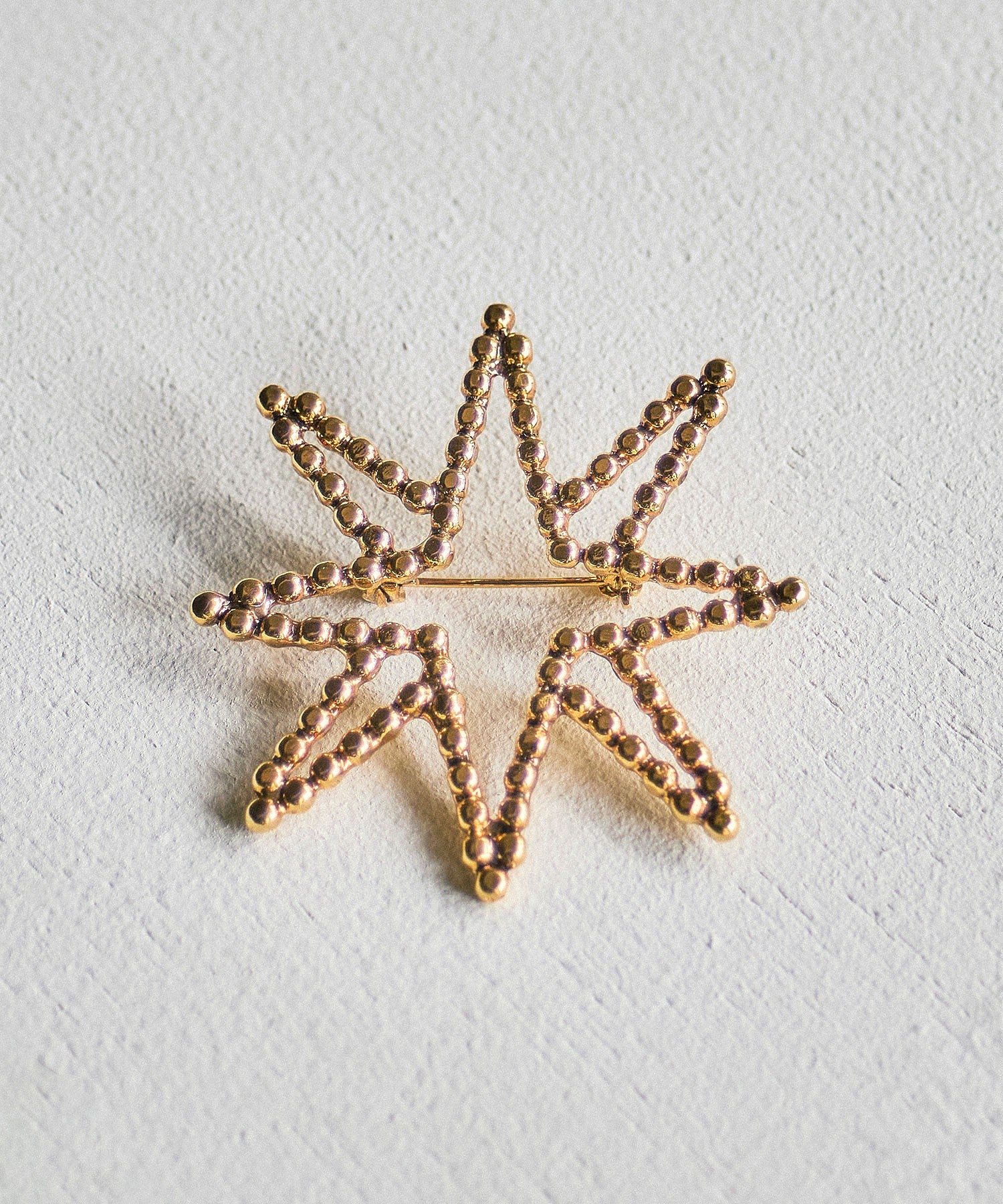 ADER.bijoux/CUTSTEEL STAR BROOCH