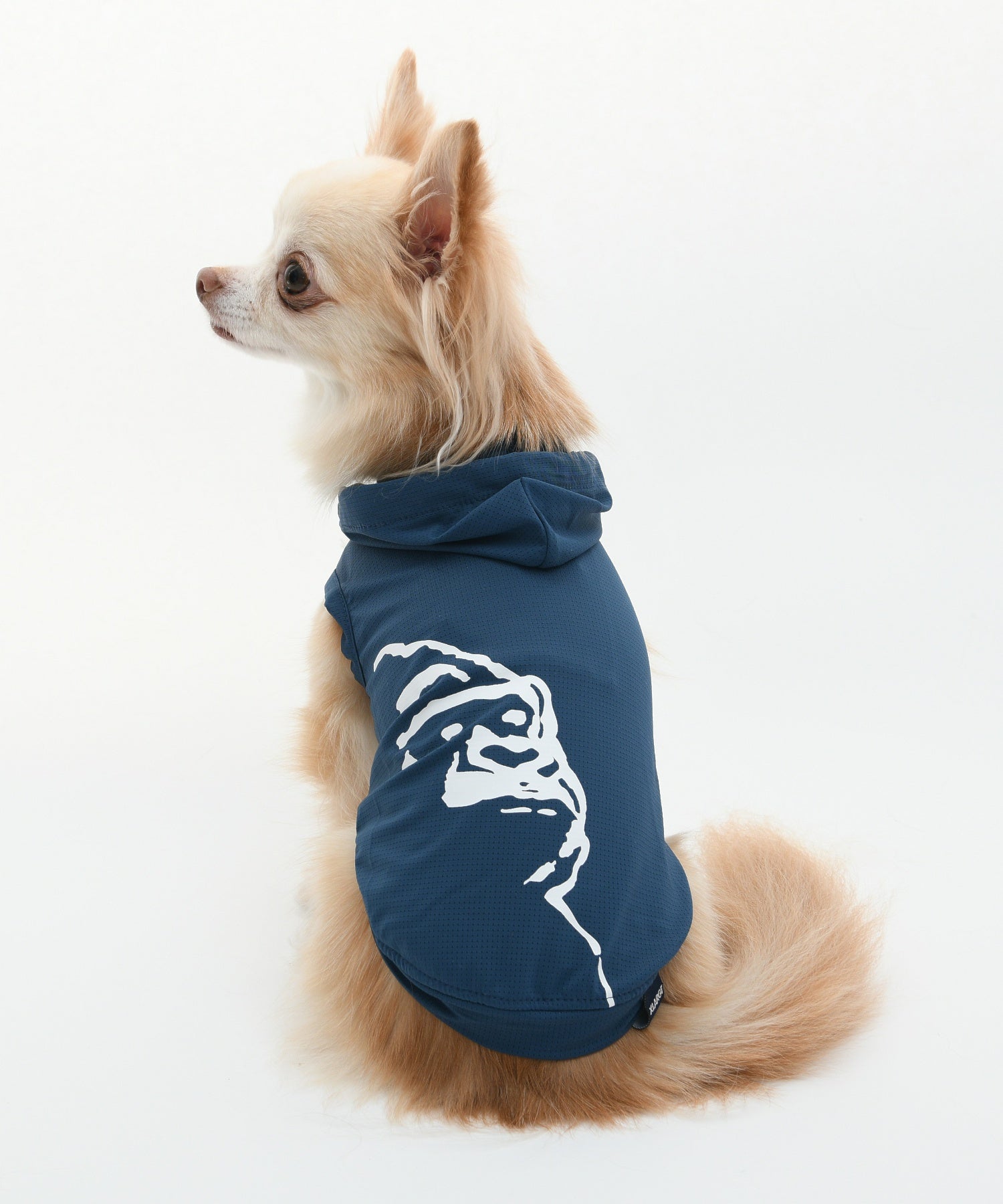 【XLARGE DOGWEAR】OGメッシュフーディー