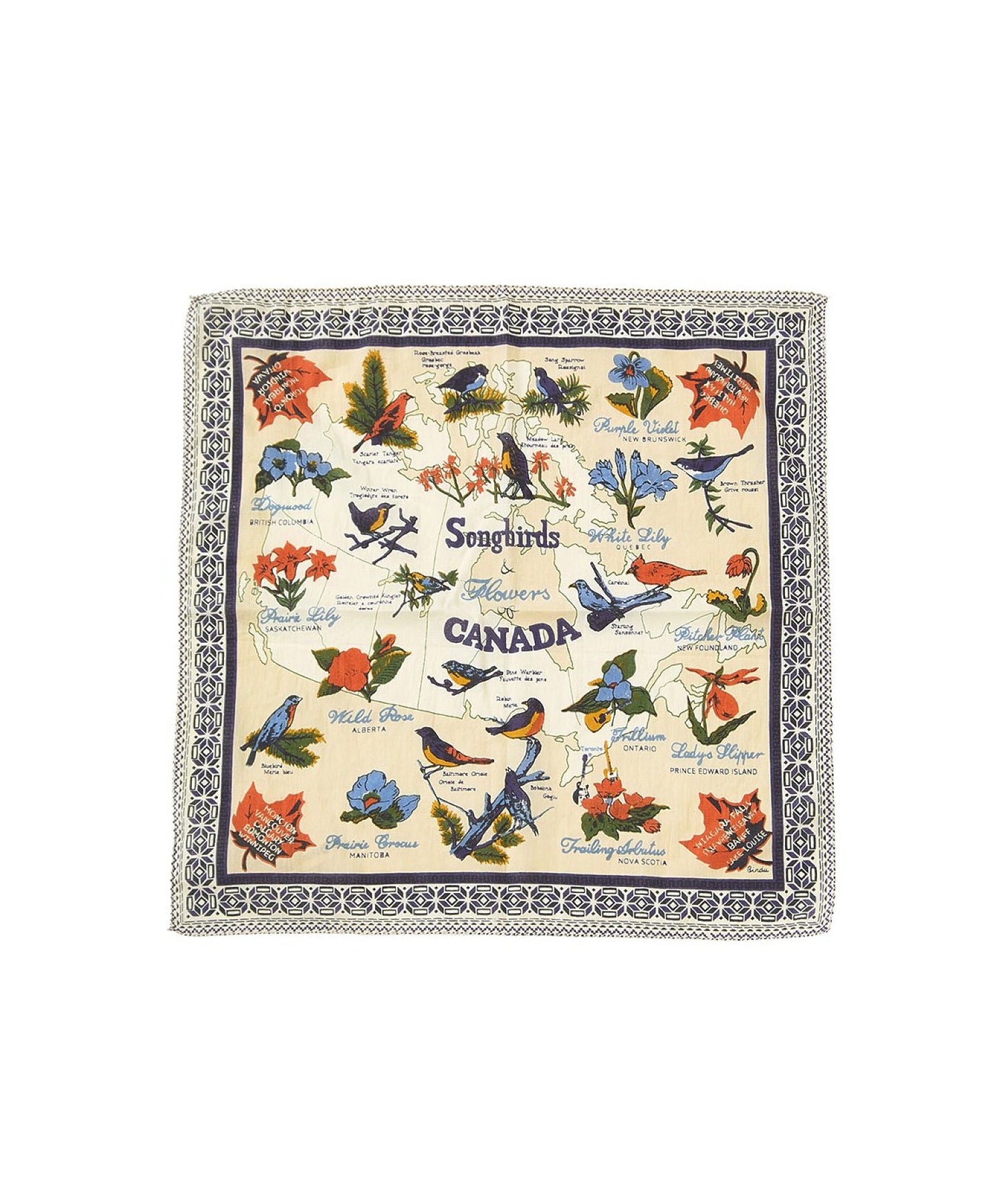 BINDU/COTTON VOILE CANADA BANDANA