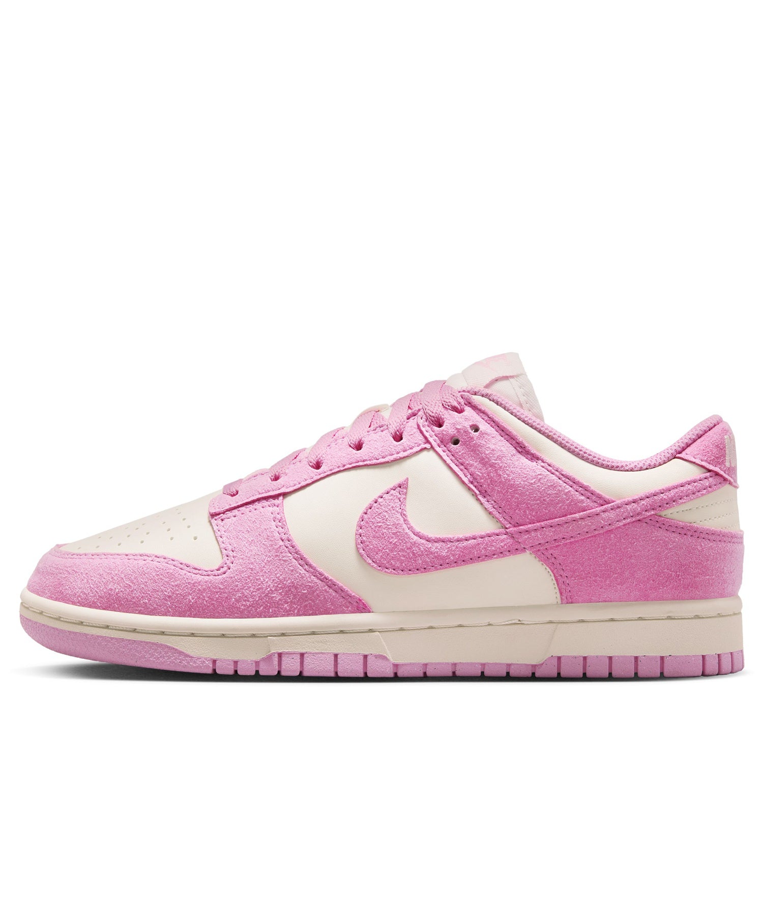 NIKE/ナイキ/WMNS DUNK LOW HJ7673-101