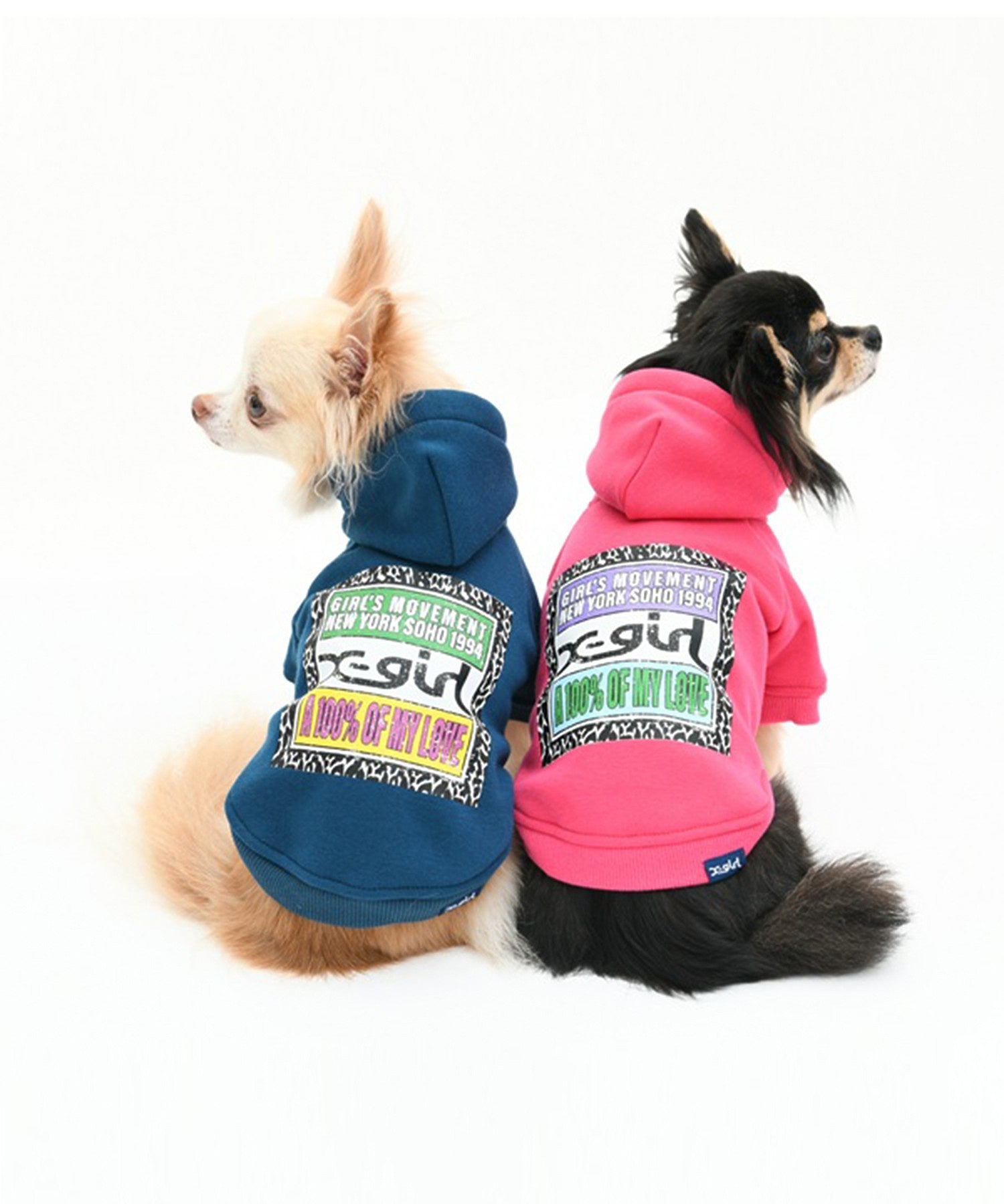 【X-girl DOGWEAR】ヒョウ柄ボックスロゴパーカー