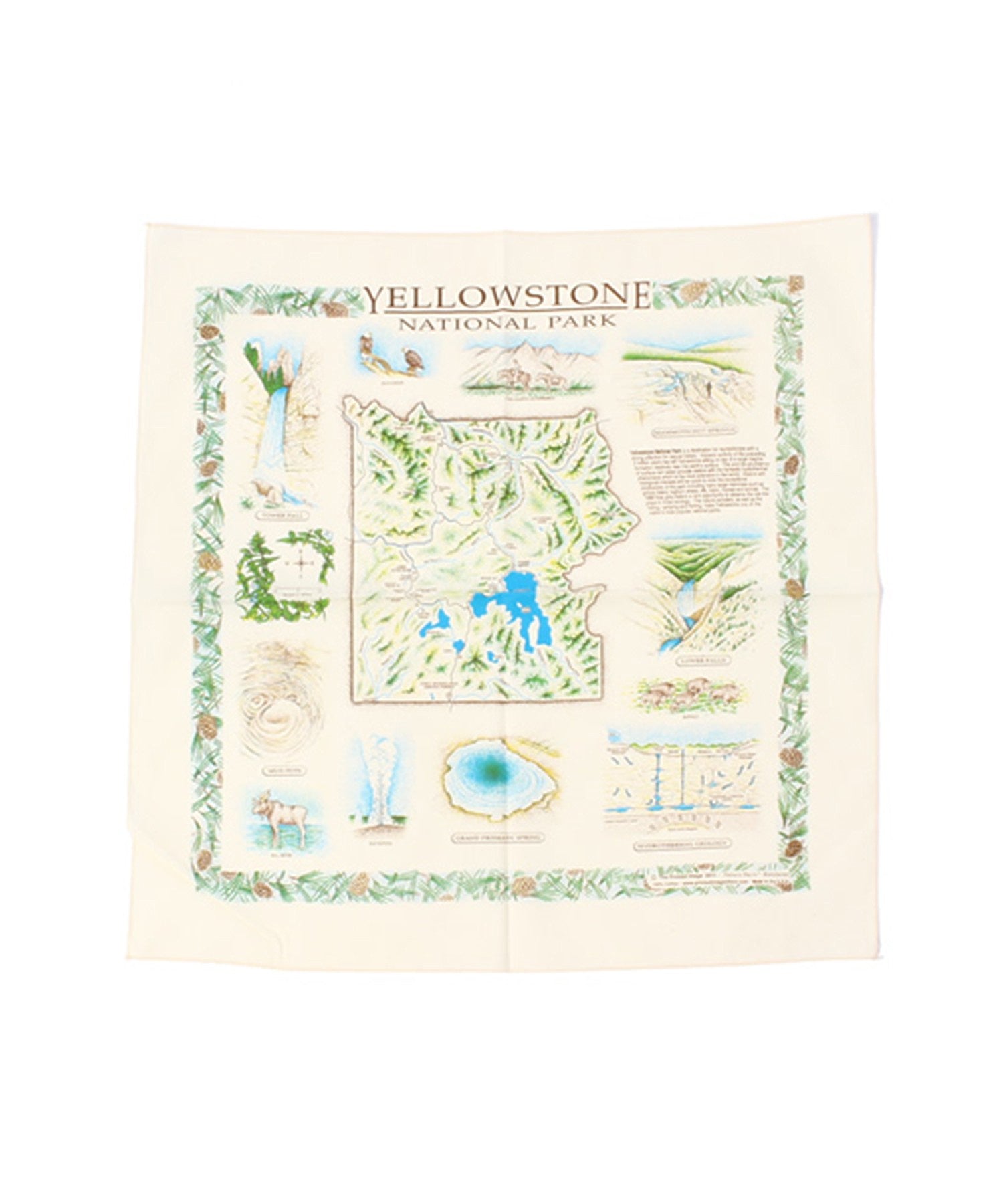 【The Printed Image】ﾈｲﾁｬｰﾌﾟﾘﾝﾄﾊﾞﾝﾀﾞﾅ ｲｴﾛｰｽﾄｰﾝ