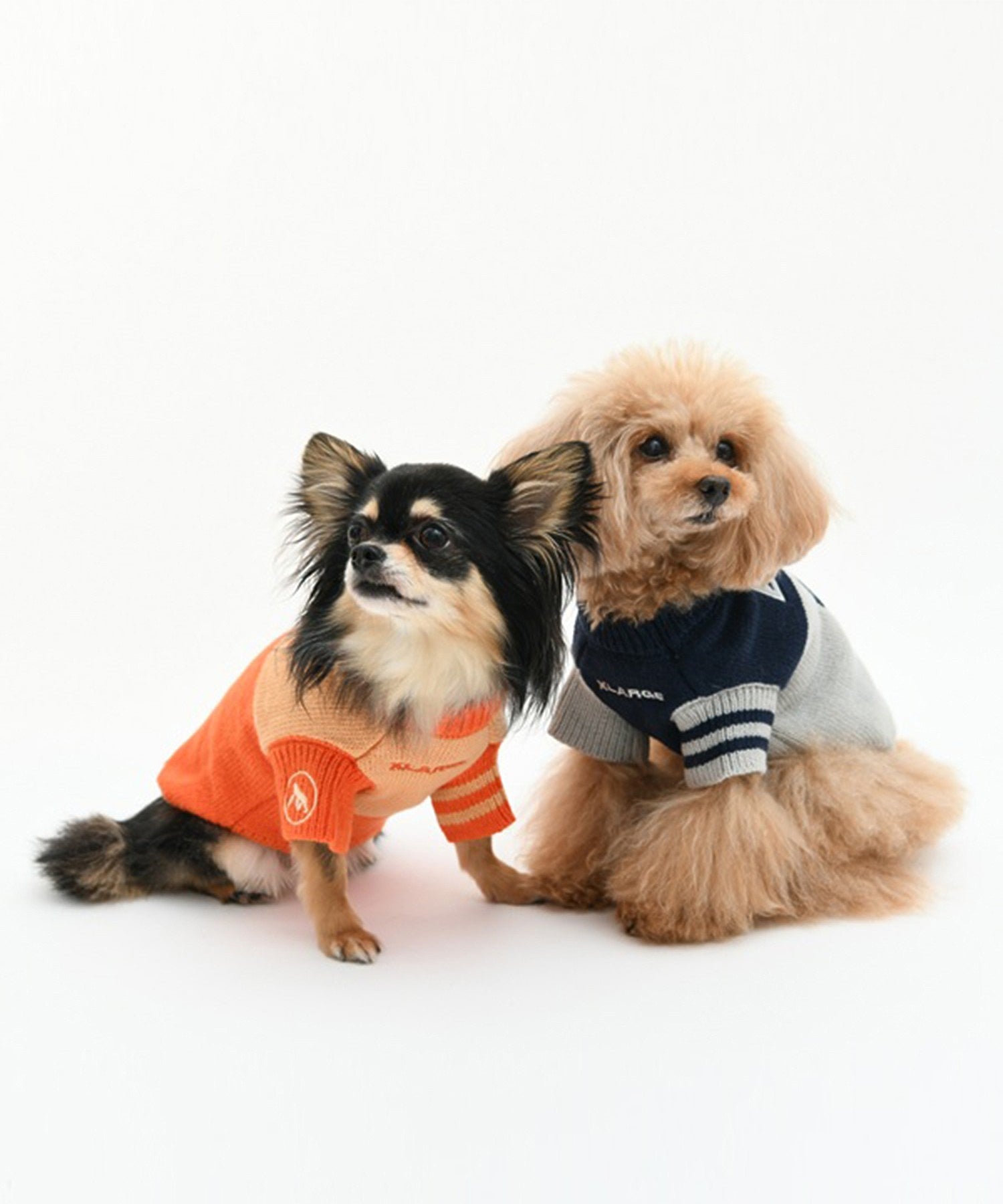 【XLARGE DOGWEAR】ナンバリングニット