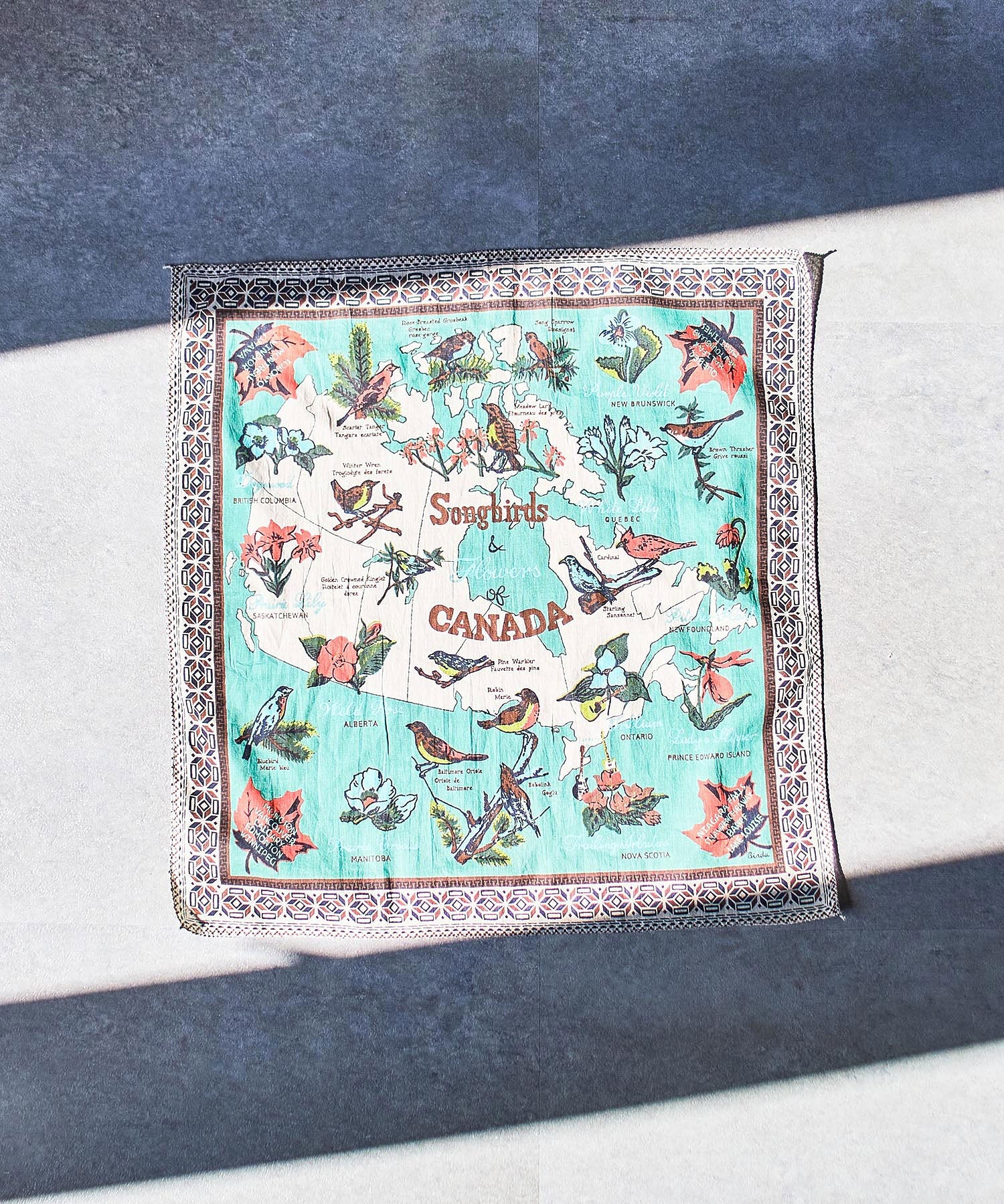 BINDU/COTTON VOILE CANADA BANDANA