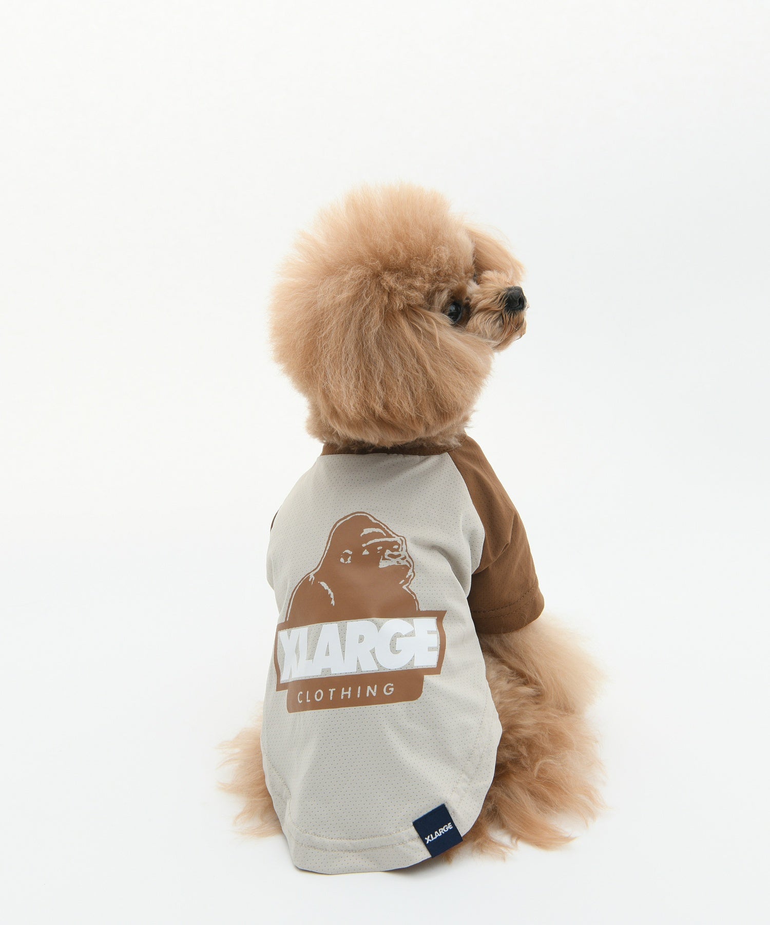 【XLARGE DOGWEAR】OGラグラン風メッシュT