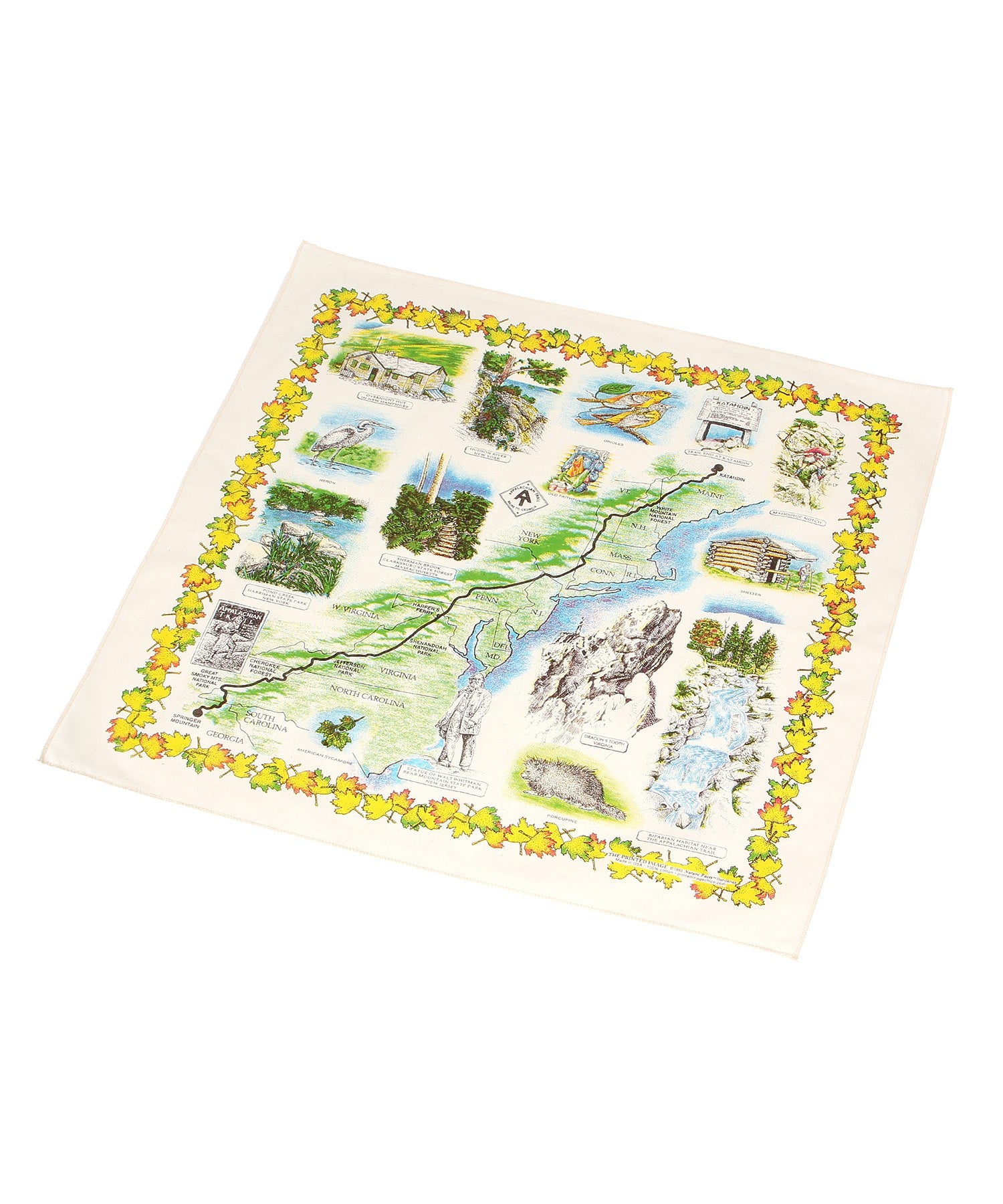 【The Printed Image】ﾈｲﾁｬｰﾌﾟﾘﾝﾄ ｱﾊﾟﾗﾁｱﾝﾄﾚｲﾙ