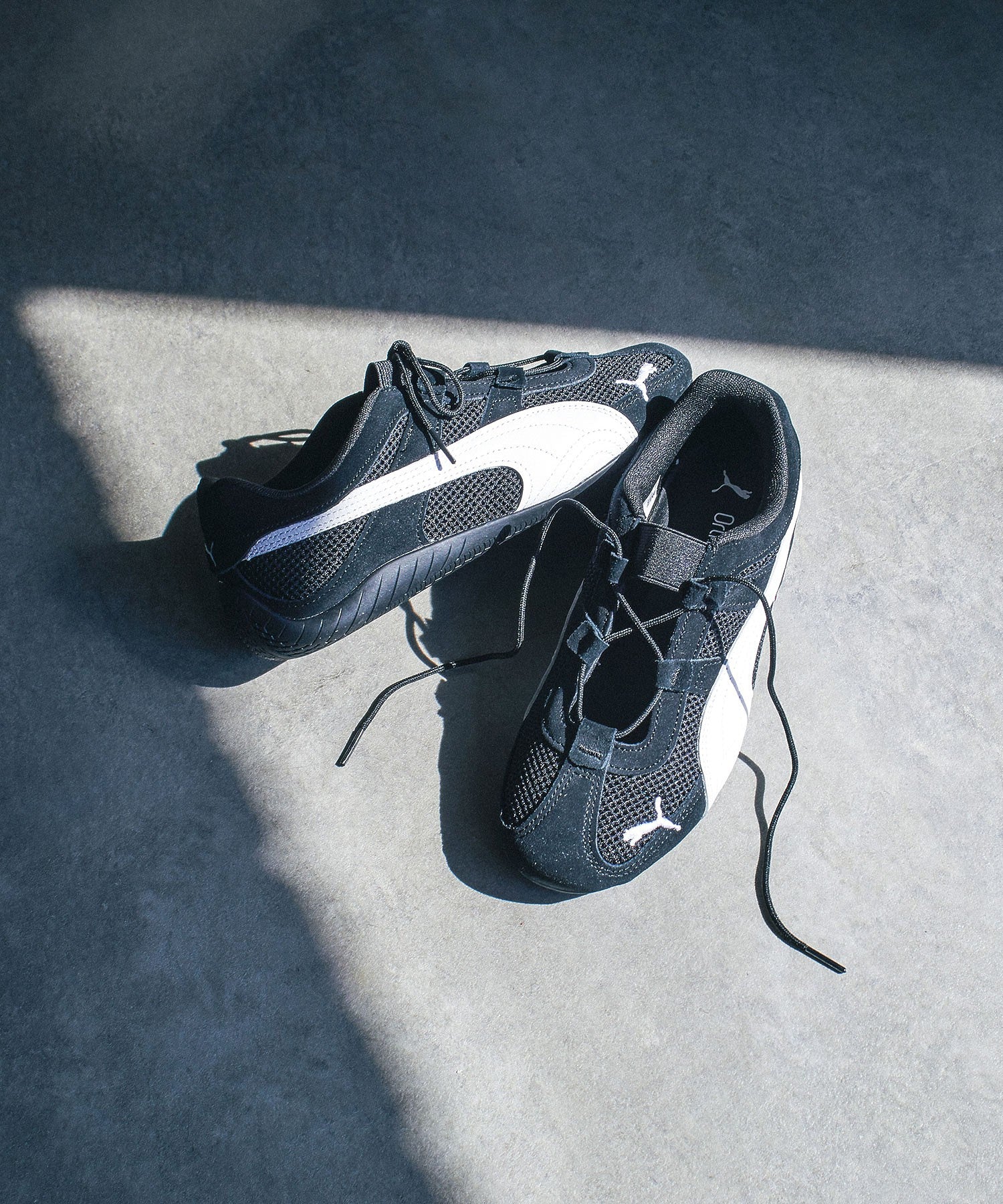 PUMA/SPEEDCAT GO WNS