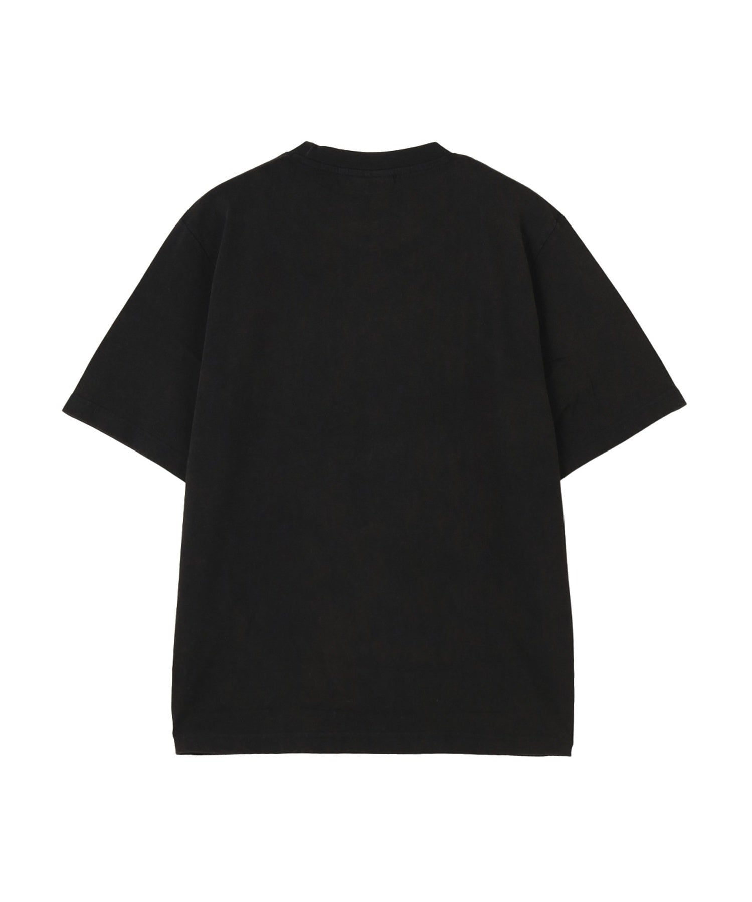 WASTED PARIS/ウェイステッドパリス/ORTHOS T-SHIRT