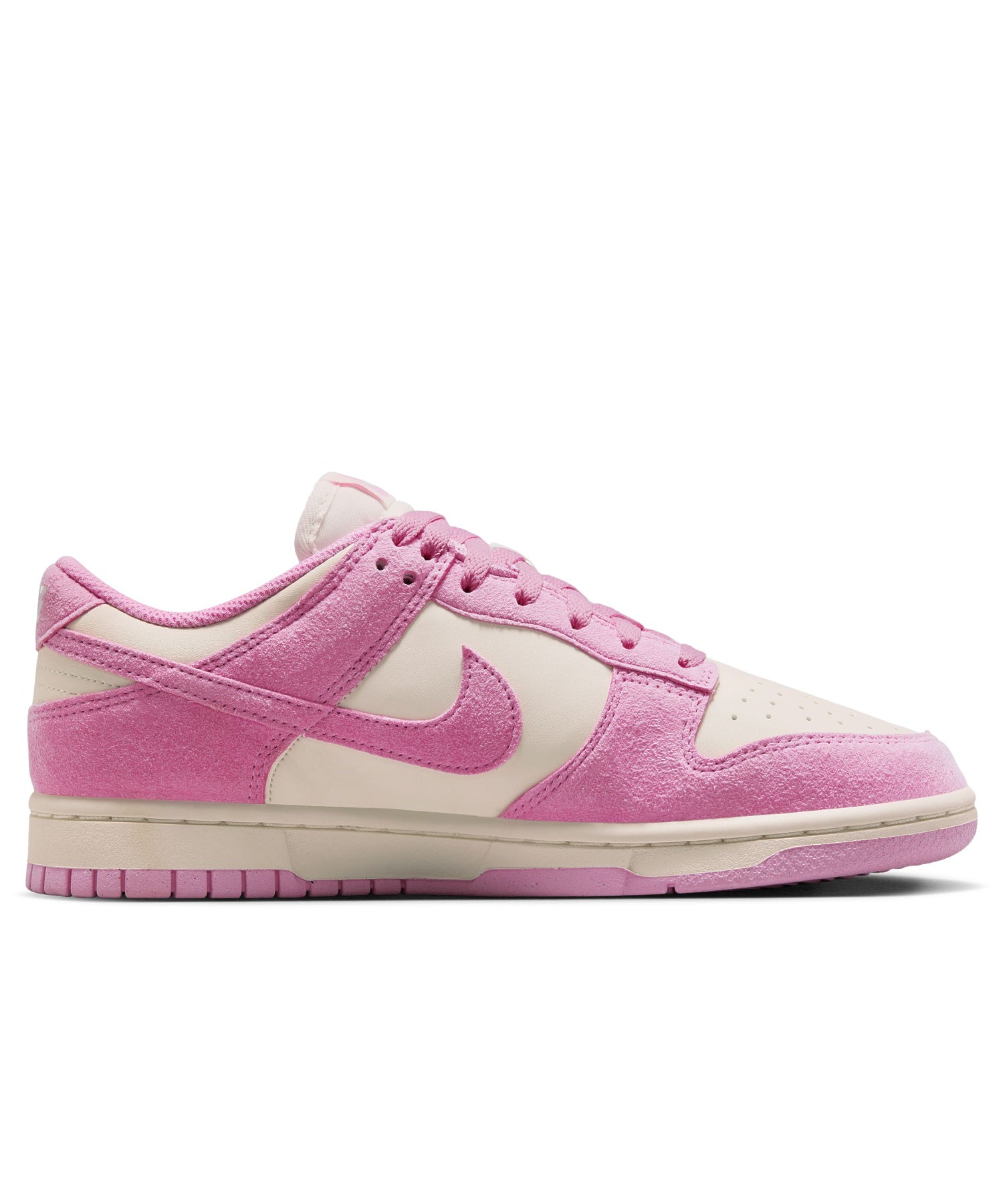 NIKE/ナイキ/WMNS DUNK LOW HJ7673-101