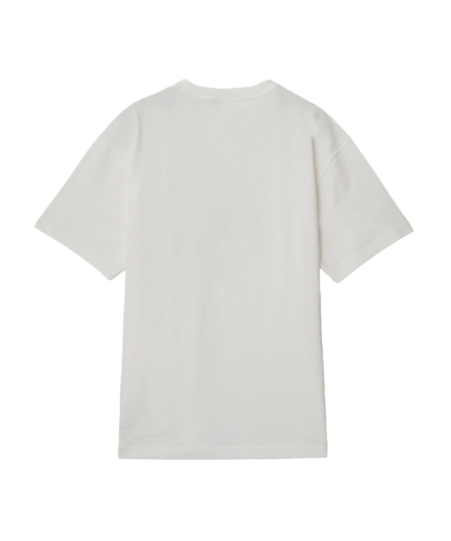 PUMA/プーマ/GRAPHICS PUMA BOY TEE 629412