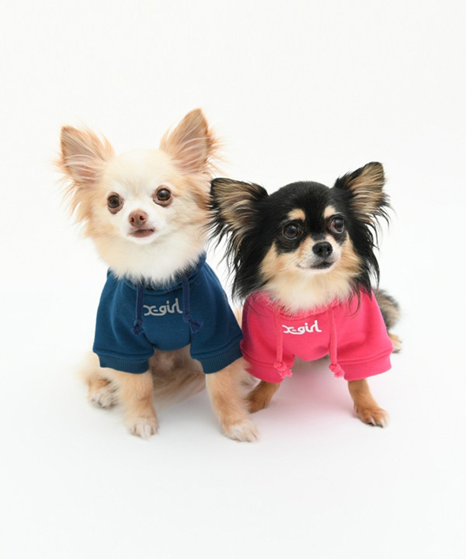 【X-girl DOGWEAR】ヒョウ柄ボックスロゴパーカー