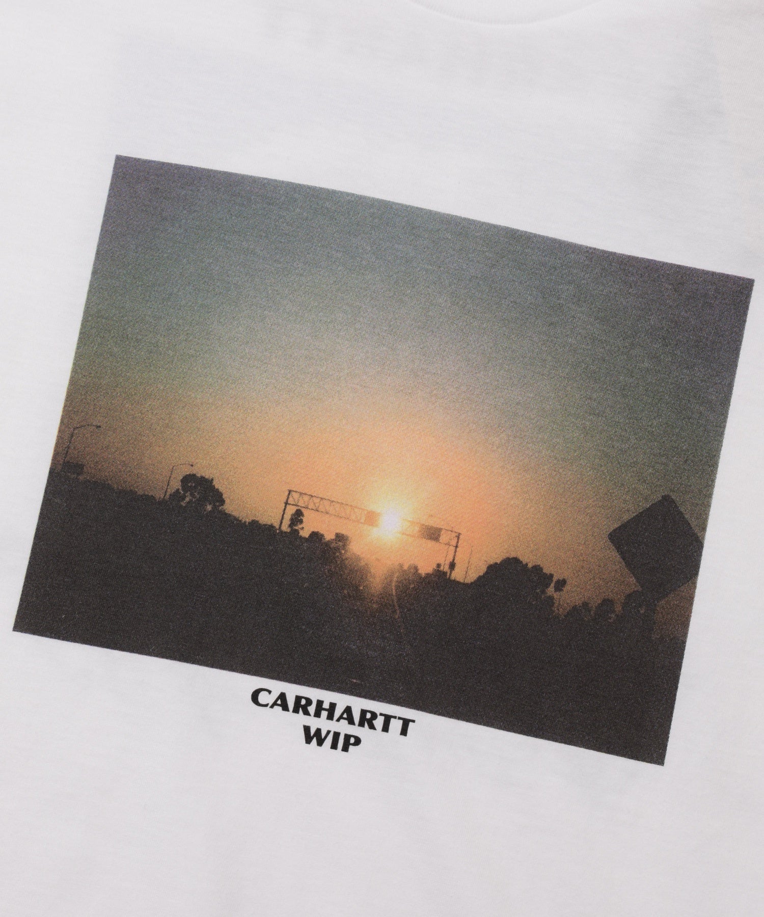CARHARTT/カーハート/WIP S/S WARM VIEWS T-SHIRT I036246