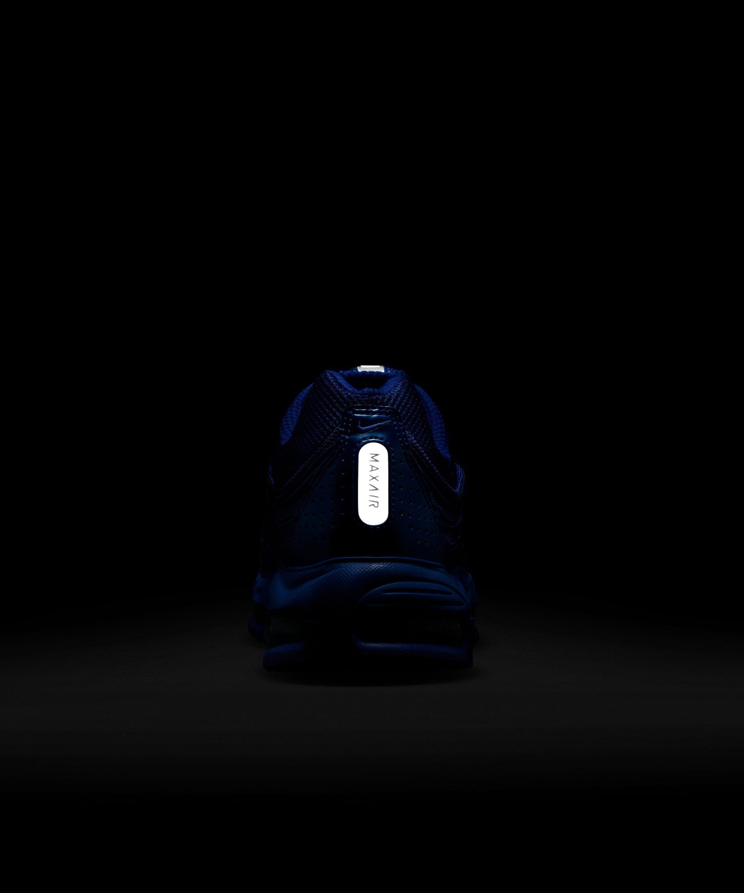 NIKE/ナイキ/AIR MAX T.L 2.5 HM8818-400