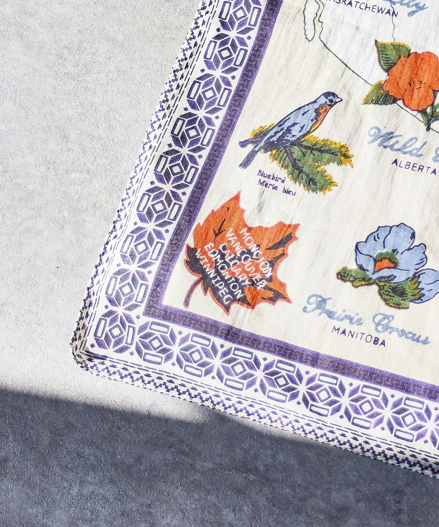 BINDU/COTTON VOILE CANADA BANDANA