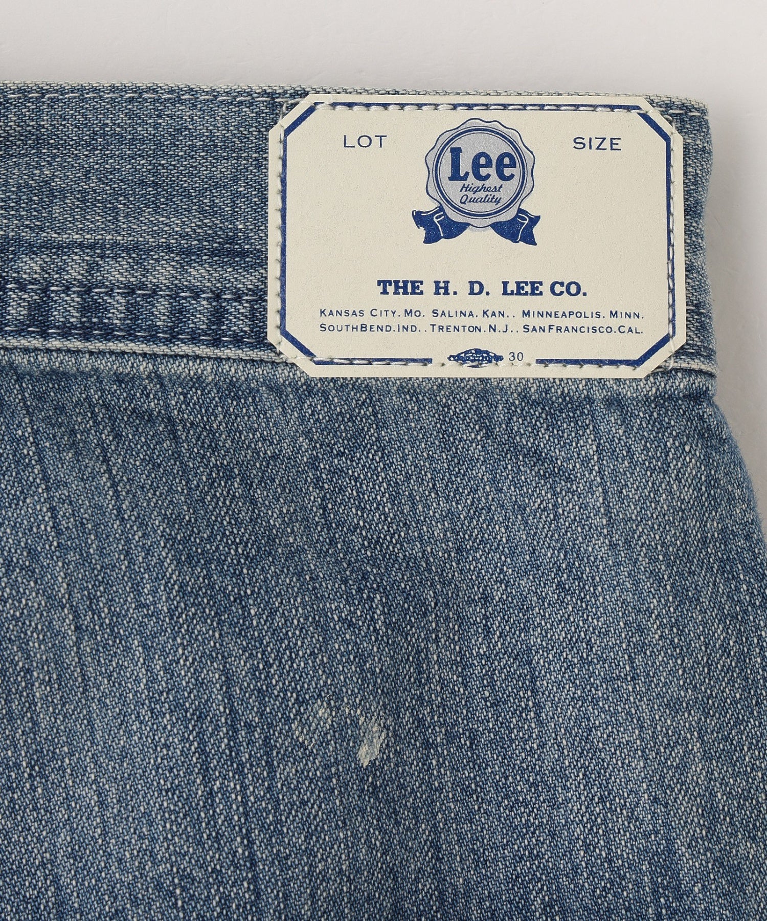 Lee/リー/VINTAGE PAINTER PANTS LM7321