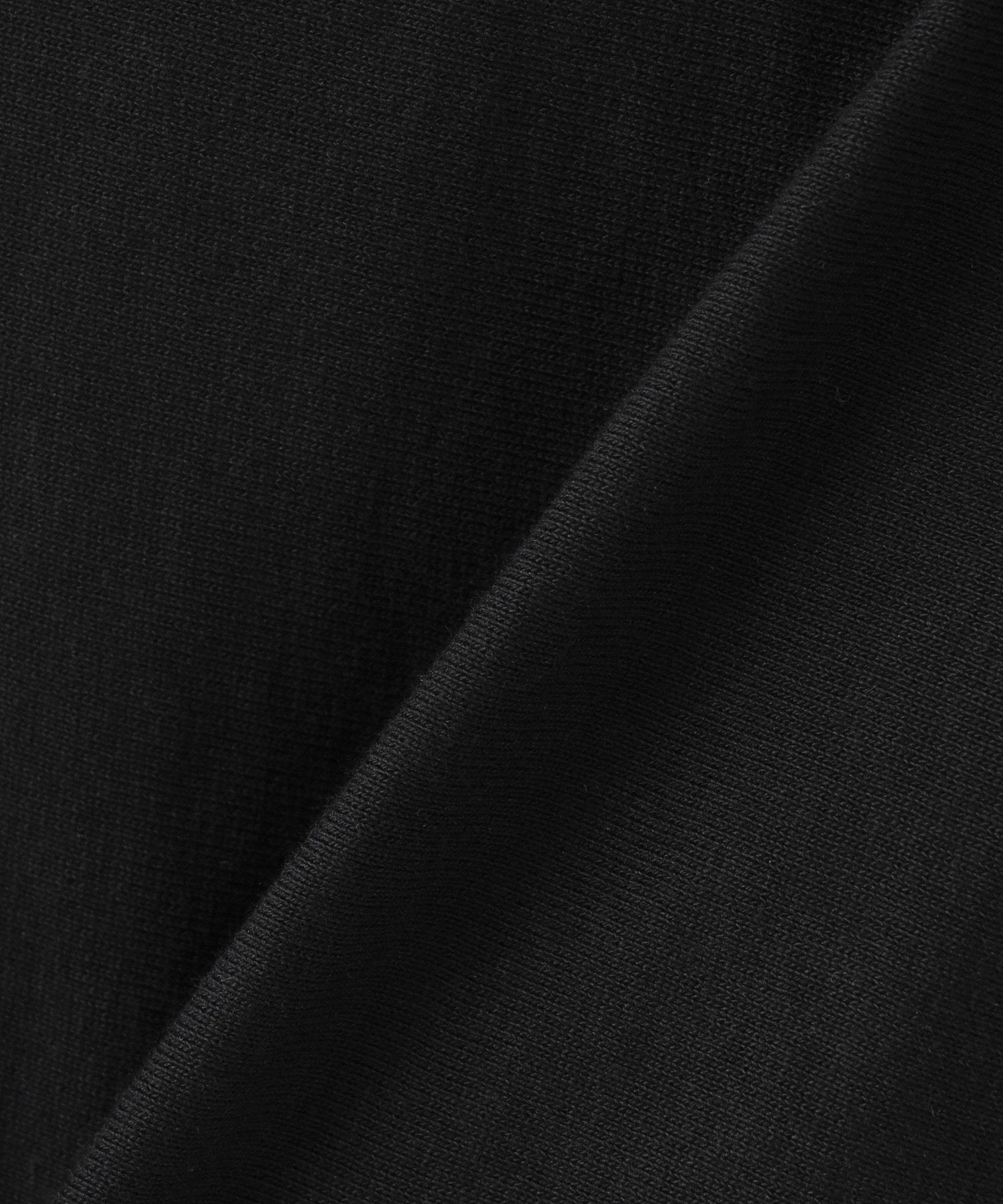CHAMPION/チャンピオン/S/S COLLEGE LOGO/C3-B304