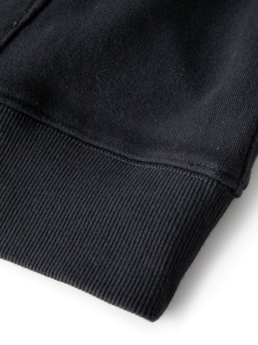 【XLARGE×D*FACE】STRIPE SKULL RENDER PULLOVER HOODED SWEAT