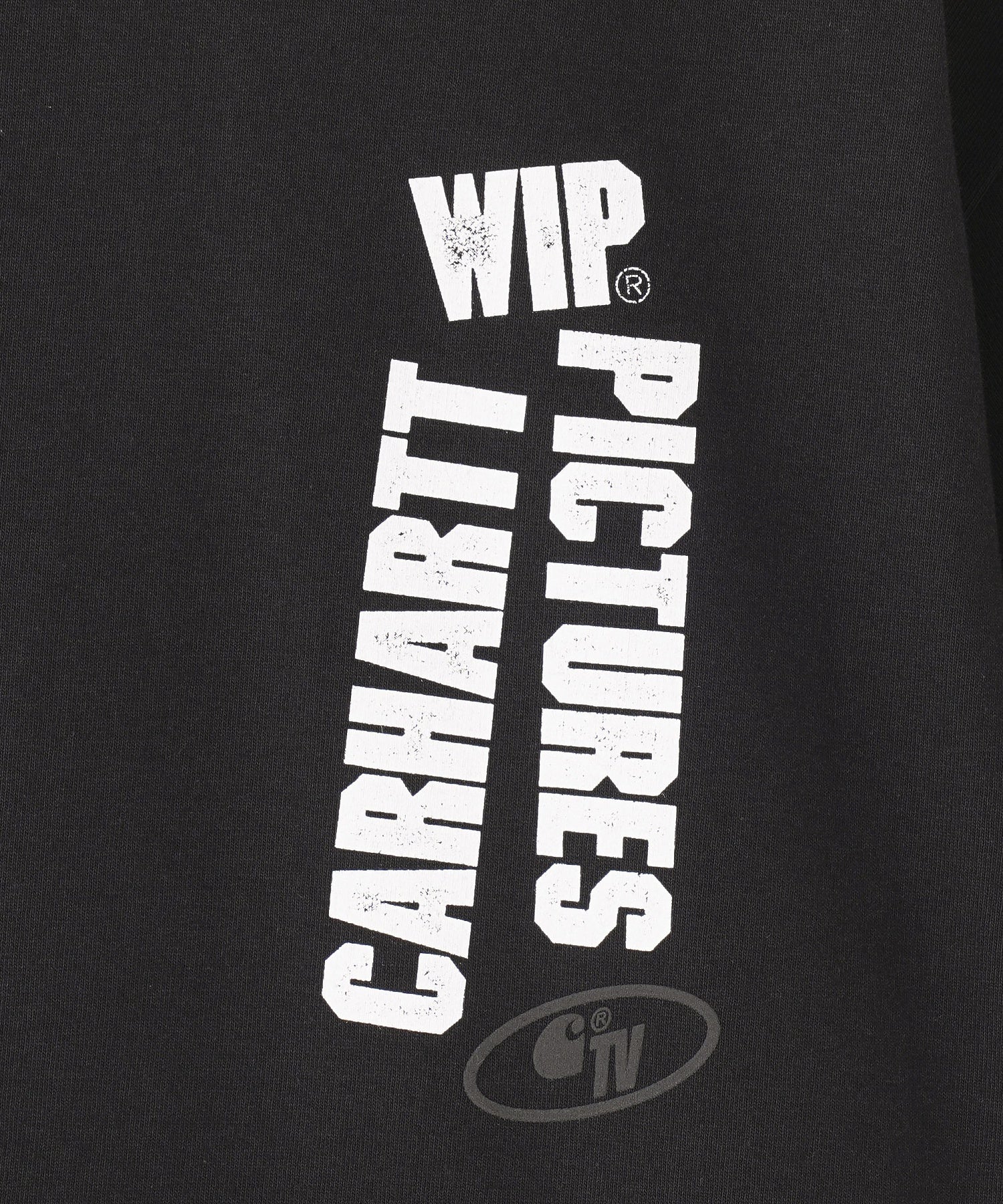 CARHARTT WIP/カーハート/S/S WIP PICTURES T-SHIRT/I033263
