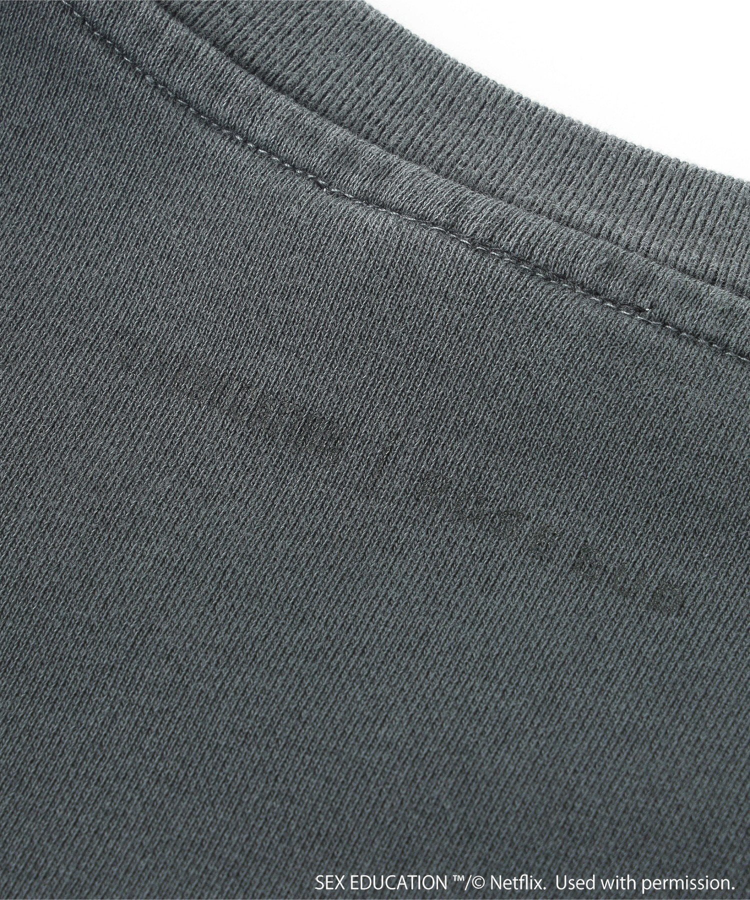 Netflix Series ‘SEX EDUCATION’ × ROSE BUD/PHOTO PRINT PULLOVER