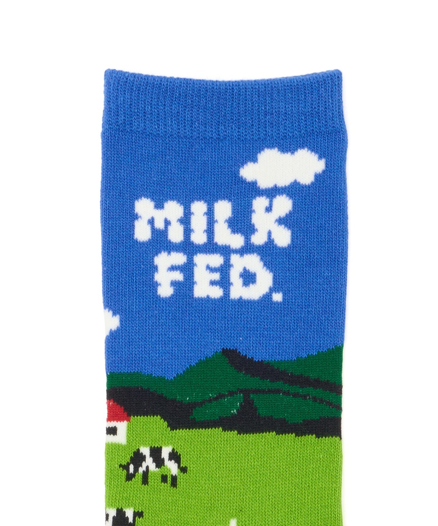 M.FEDDY SOCKS