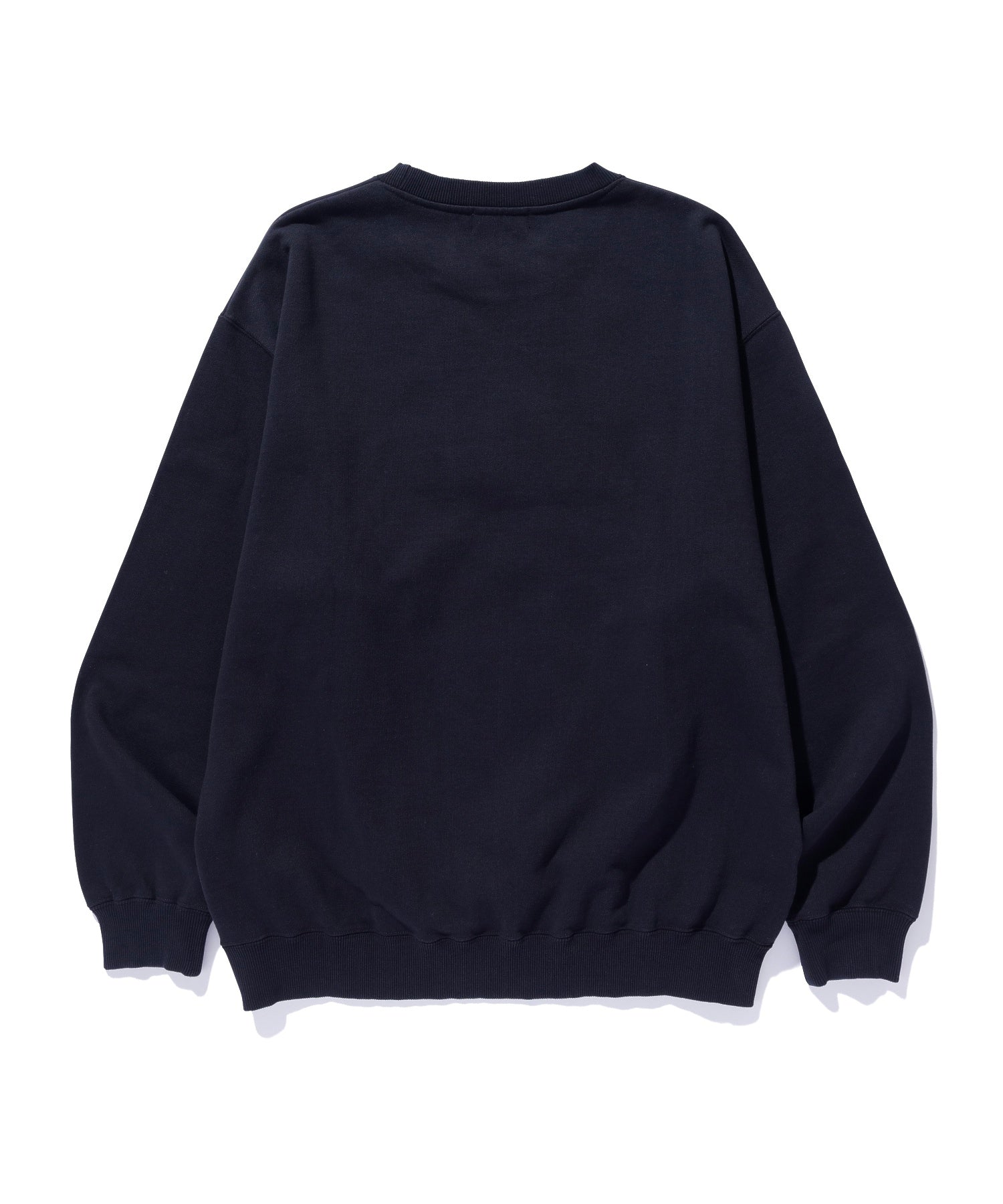 CHENILLE LOGO CREWNECK SWEATSHIRT