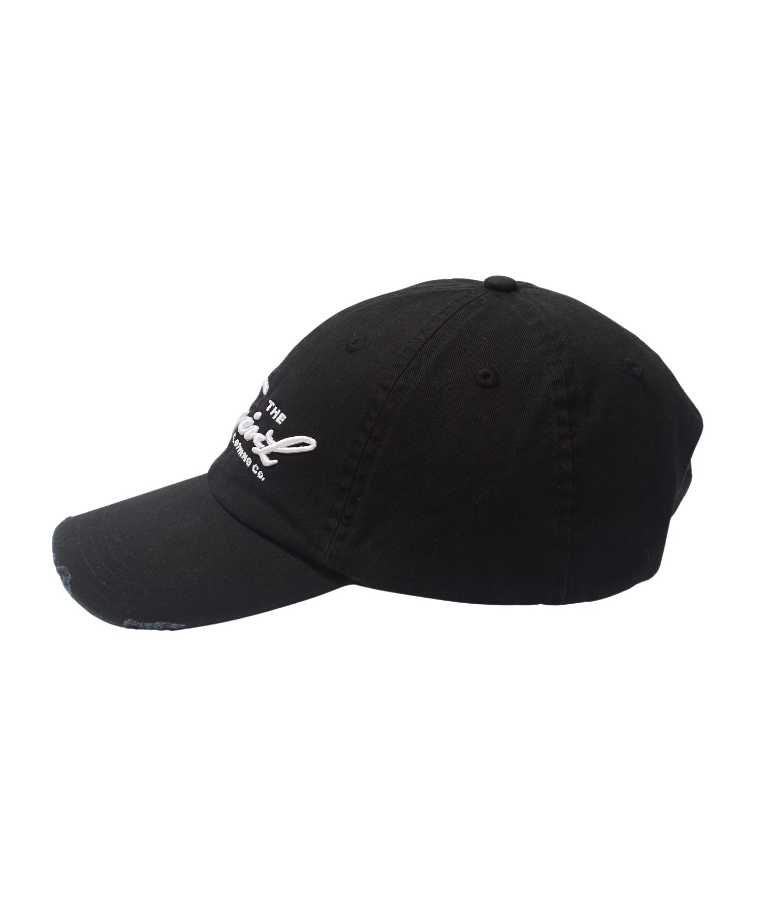 DISTRESSED SCRIPT LOGO 6PANEL CAP
