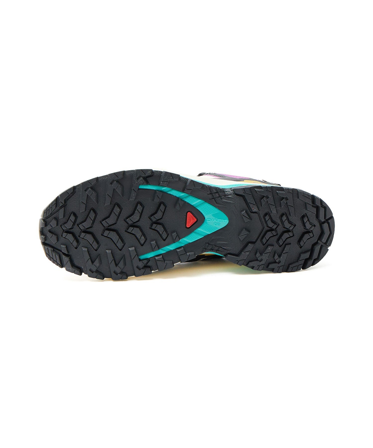 SALOMON/XA PRO 3D V9 GTX