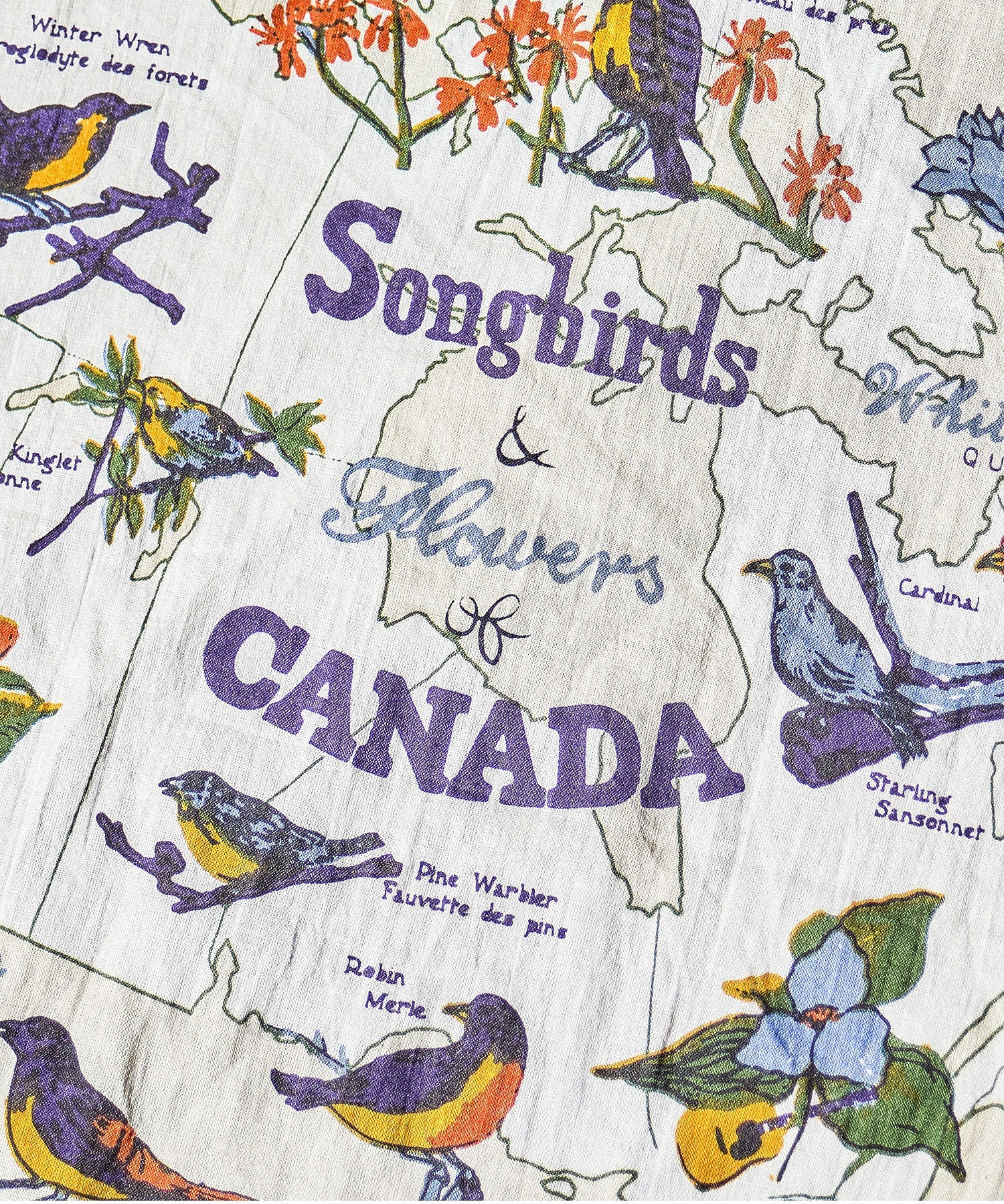 BINDU/COTTON VOILE CANADA BANDANA