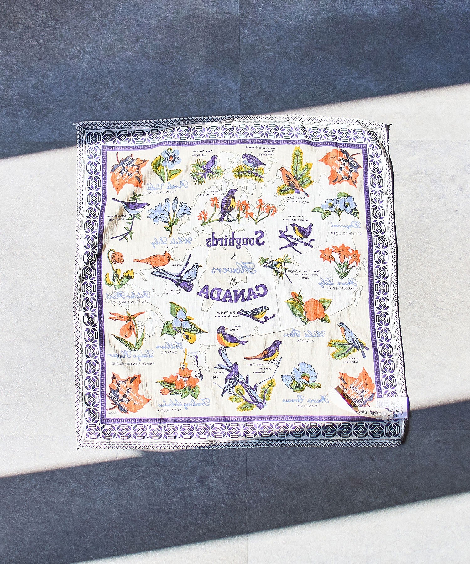 BINDU/COTTON VOILE CANADA BANDANA