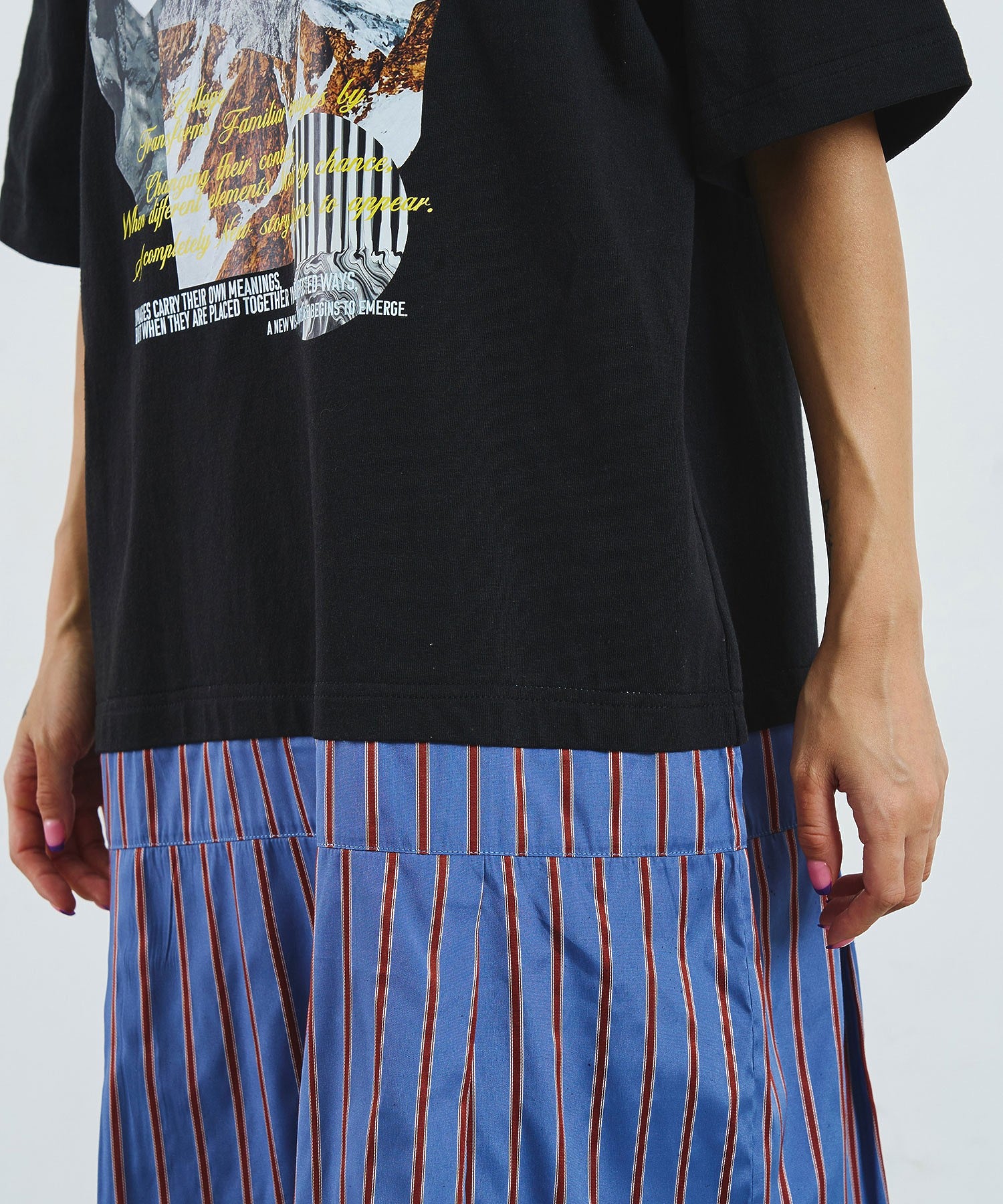 OKIRAKU×ROSEBUD/REGIMENTAL STRIPE SKIRT GRAPHIC DRESS