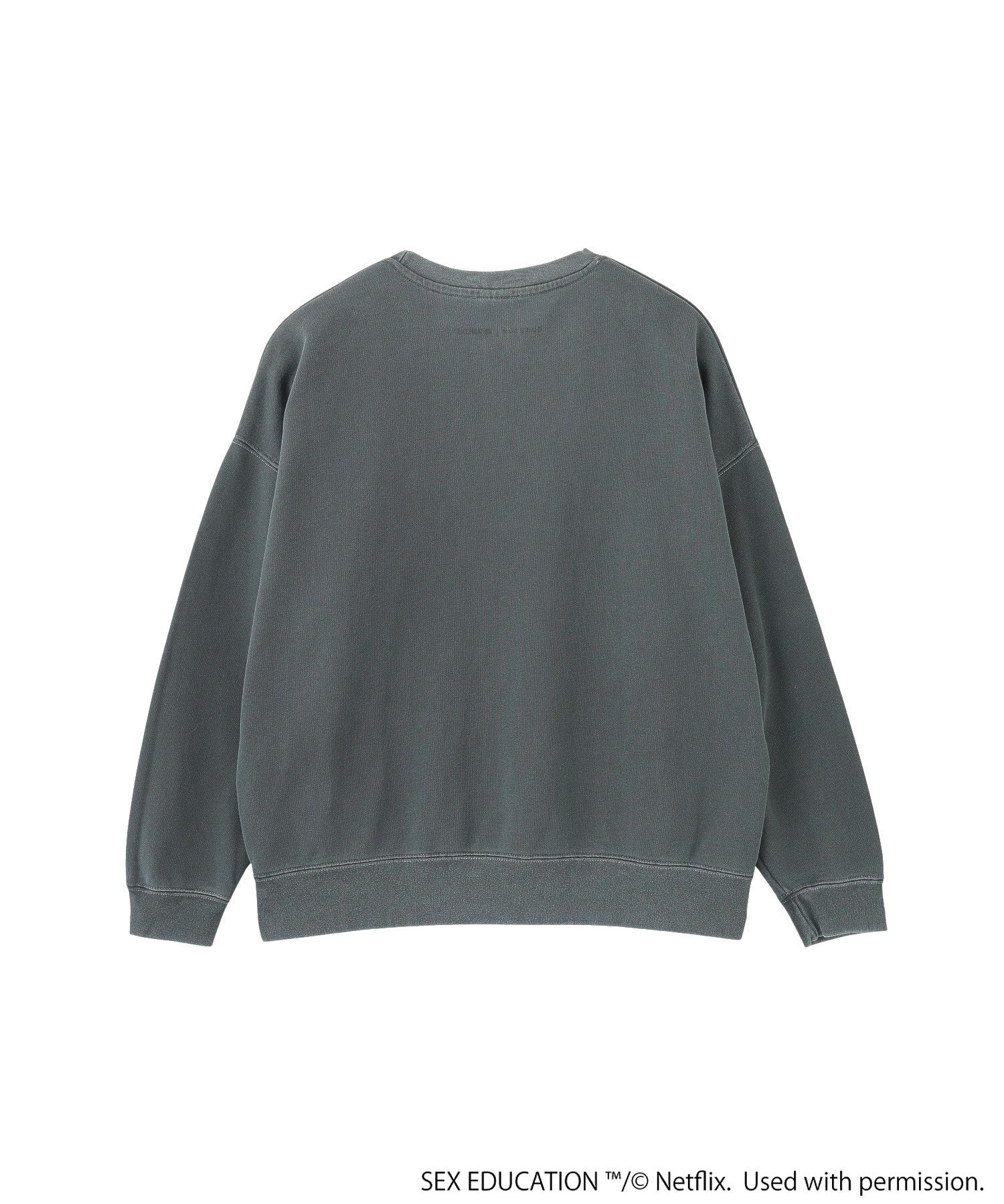 Netflix Series ‘SEX EDUCATION’ × ROSE BUD/PHOTO PRINT PULLOVER