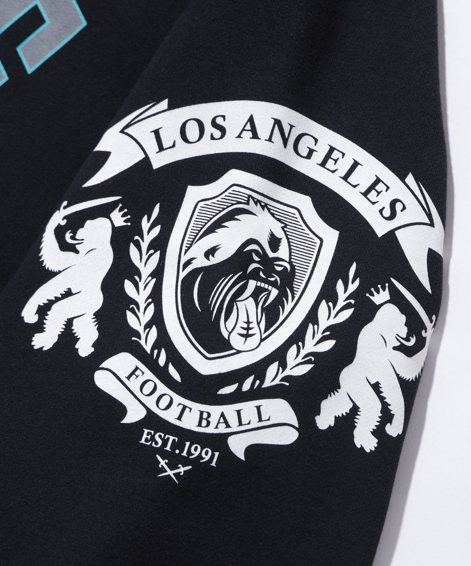 RAGLAN ZIP UP HOODED SWEATSHIRT